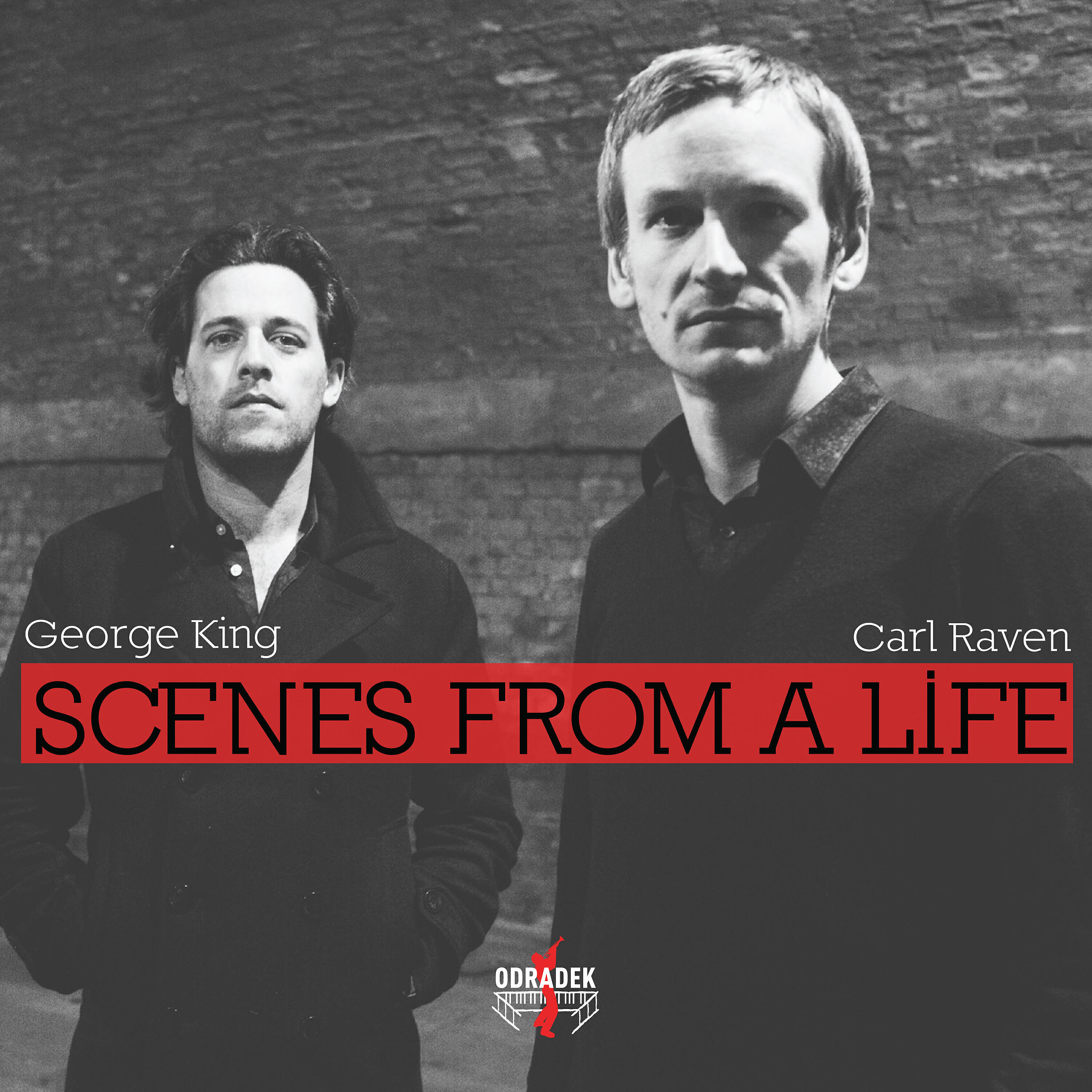 Релиз Scenes from a Life