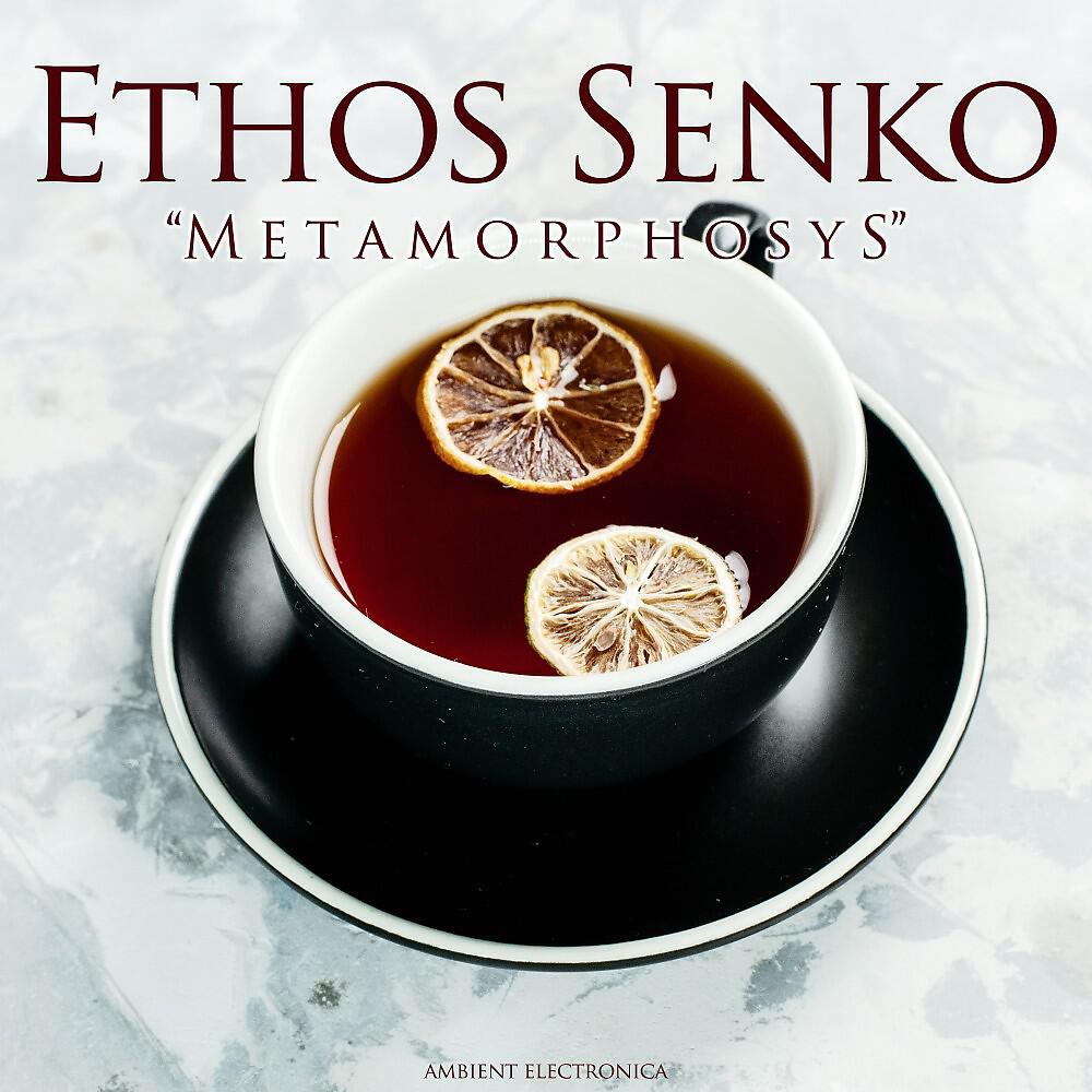 Релиз Metamorphosys