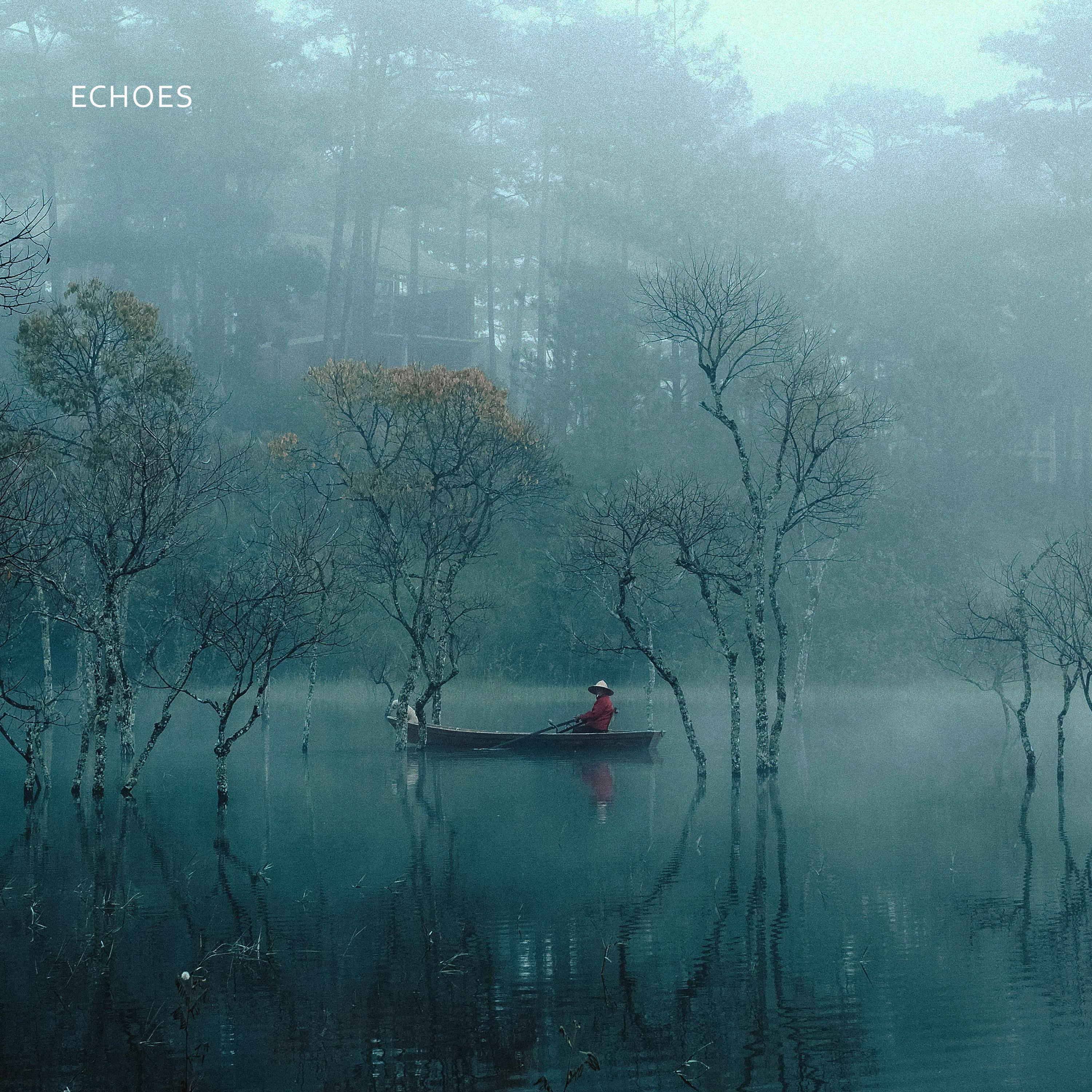 Релиз echoes