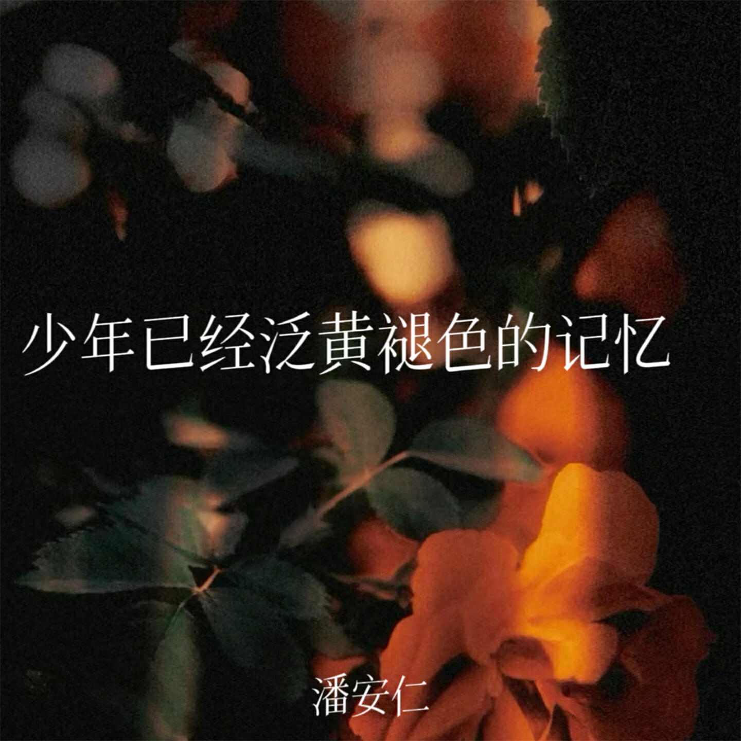 Релиз 少年已经泛黄褪色的记忆