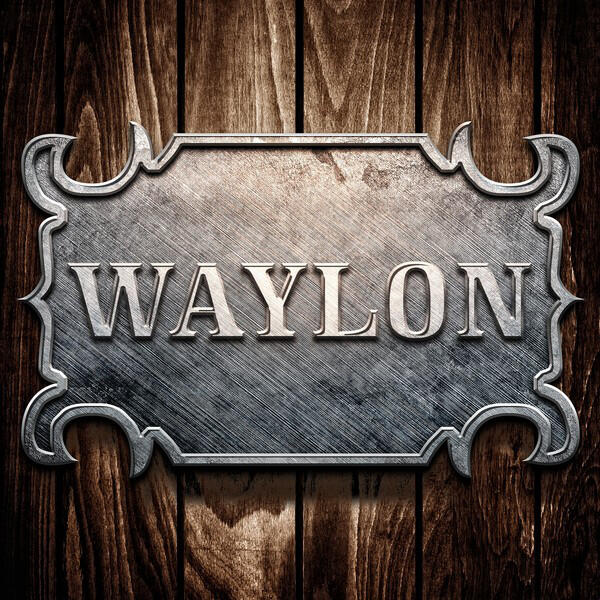Релиз Waylon