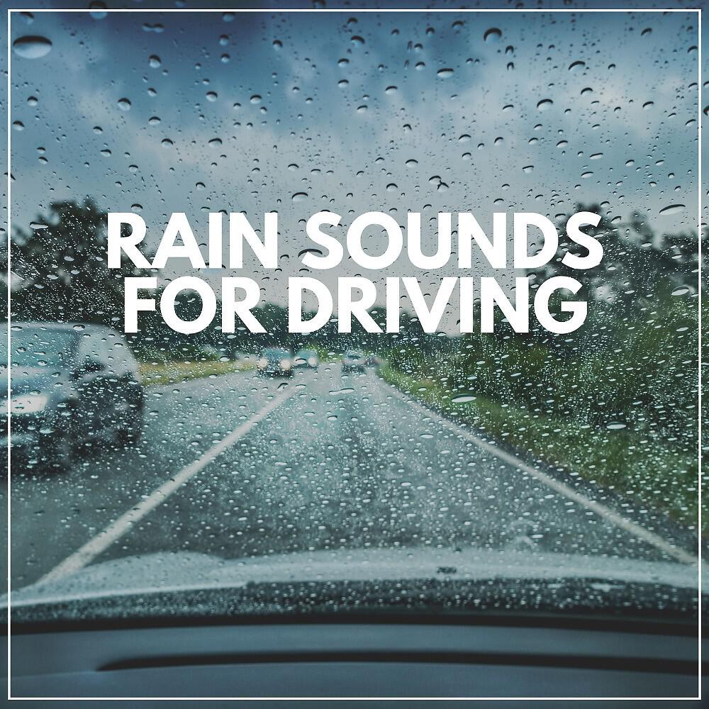 Трек Concentration Rain