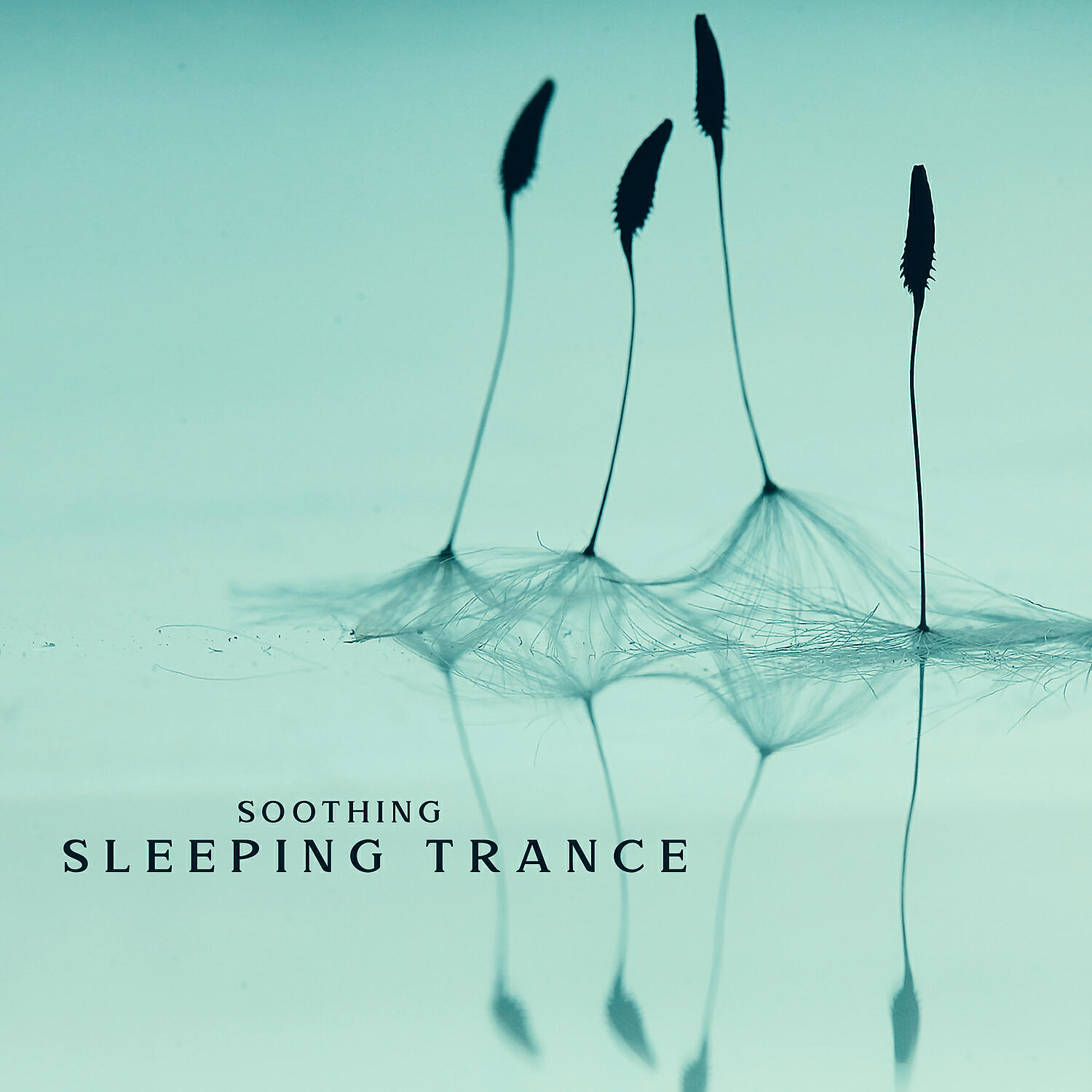 Релиз Soothing Sleeping Trance: Relaxing Bedtime Music, Deep Sleep Night, Wonderful Calmness