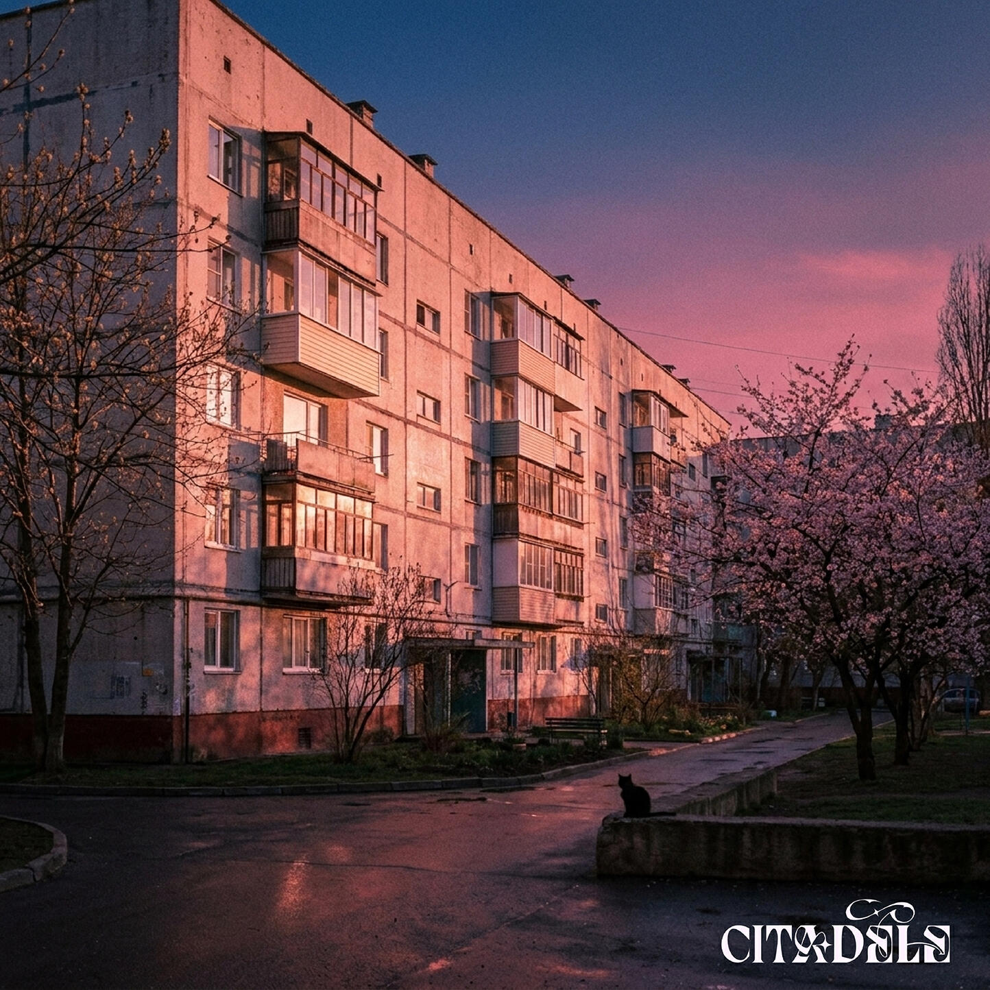 citadèle