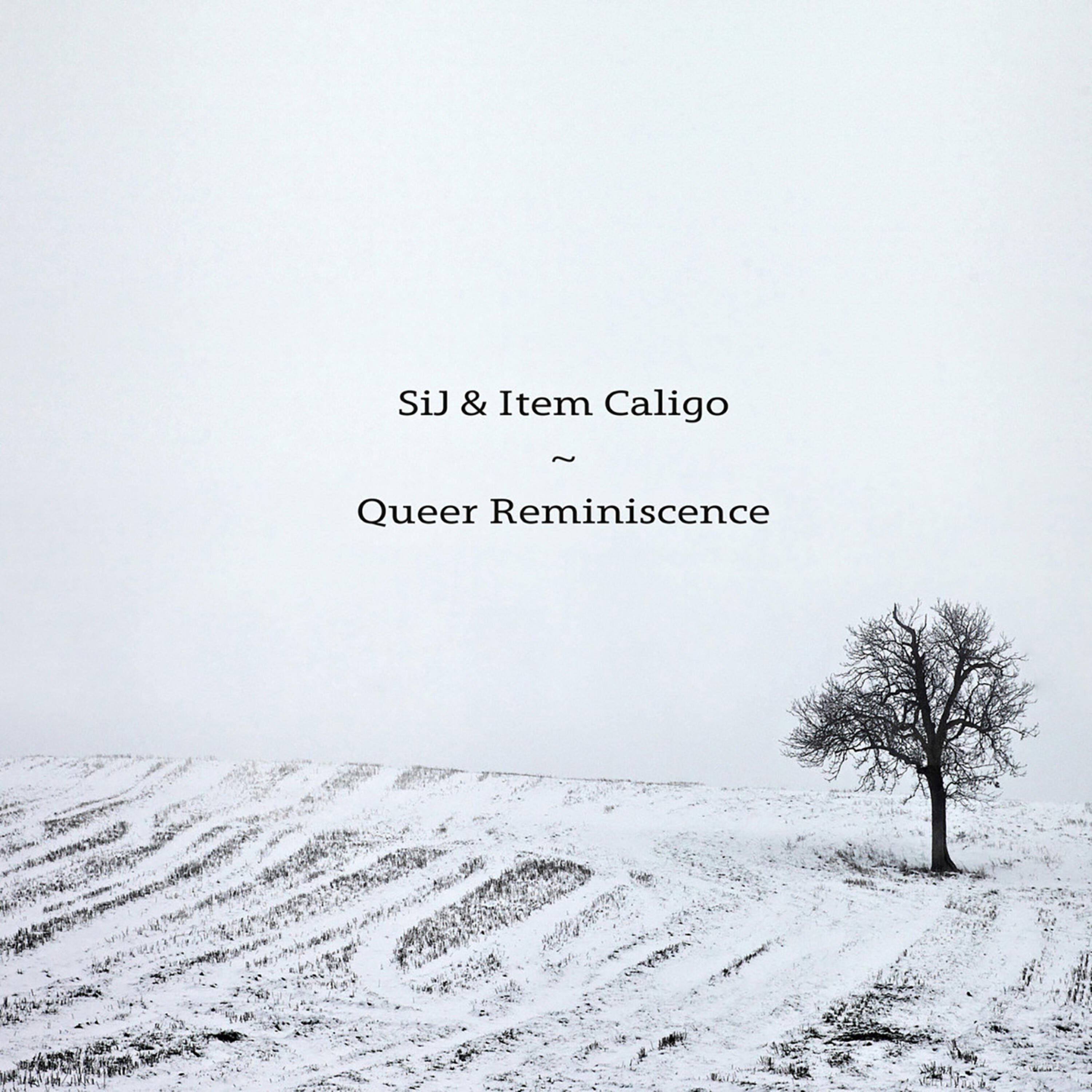 Релиз Queer Reminiscence