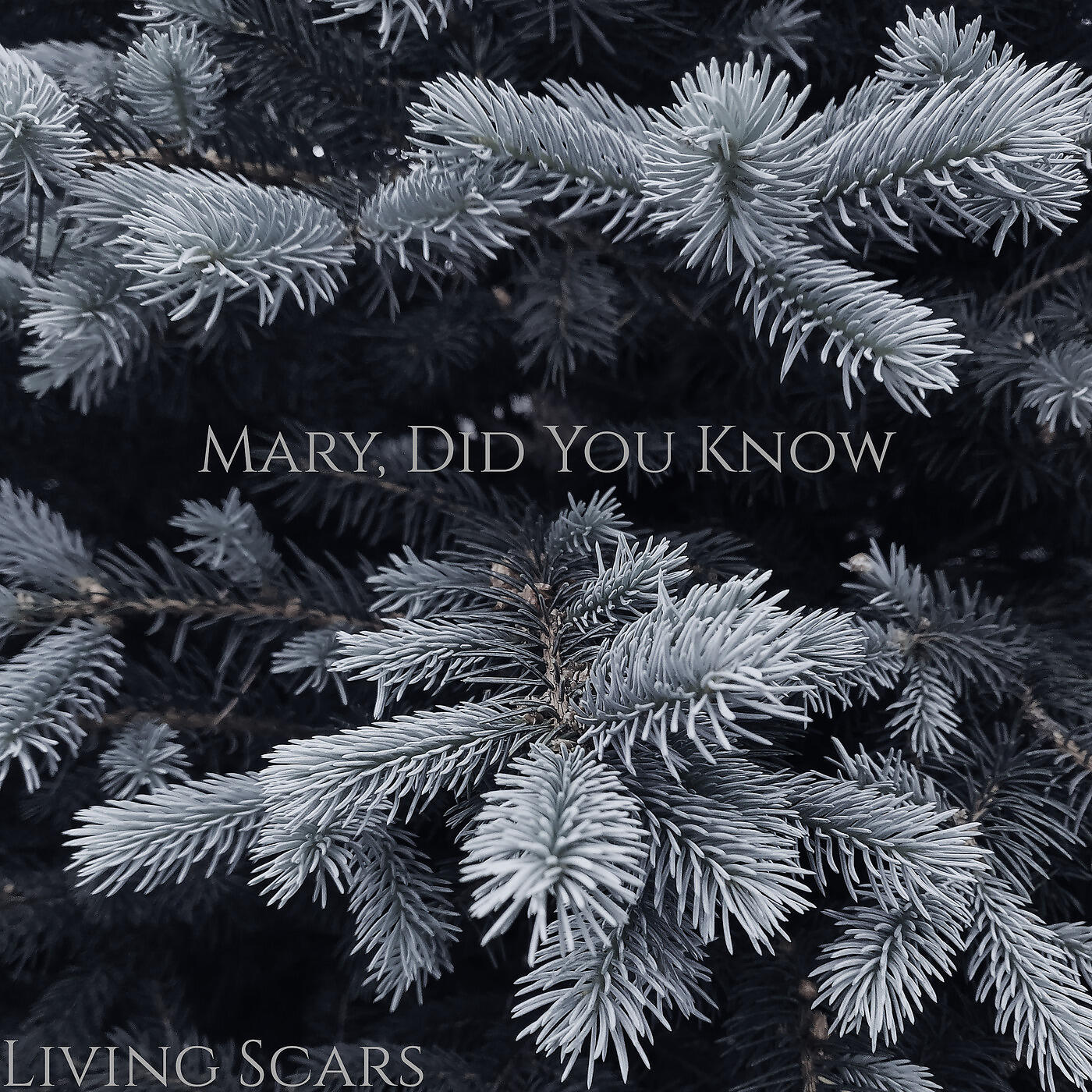 Релиз Mary, Did You Know