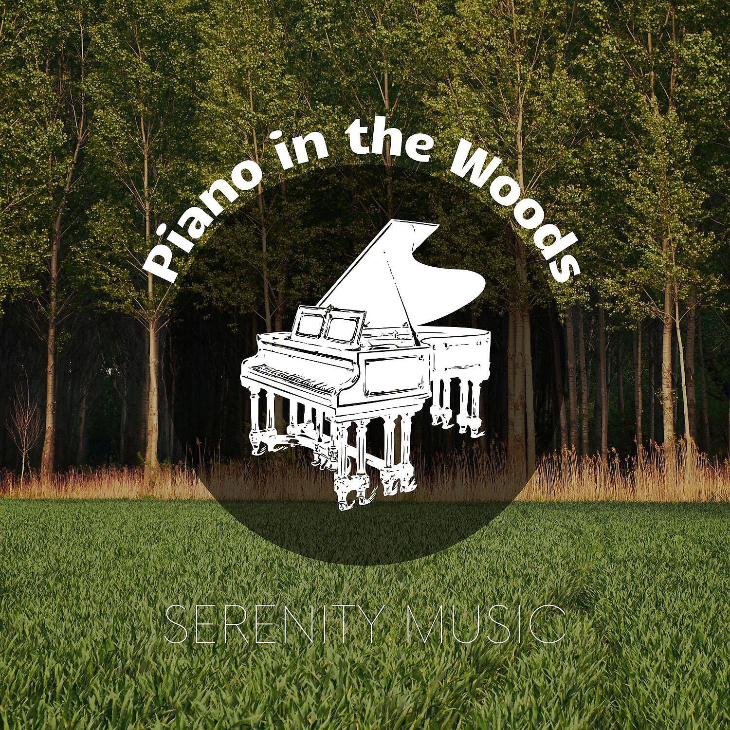 Релиз Serenity Music to Reduce Anxiety and Sadness