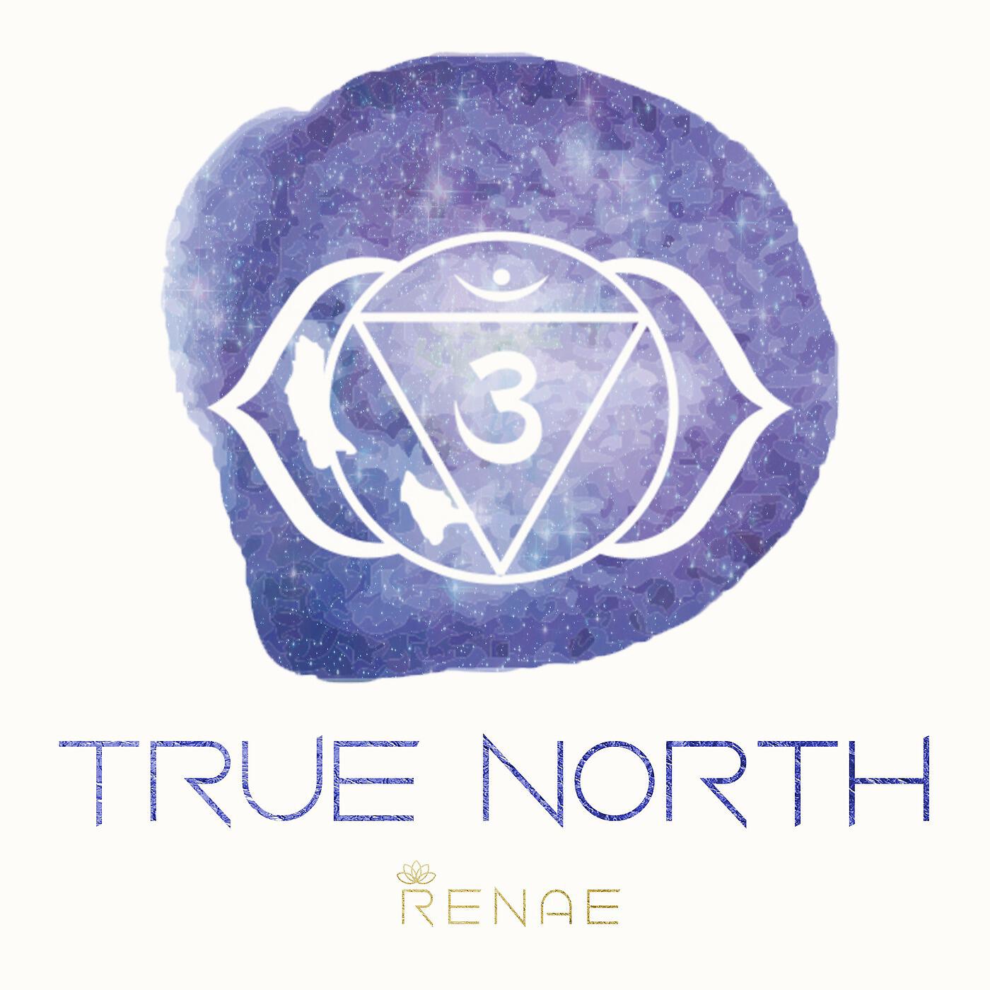Релиз True North