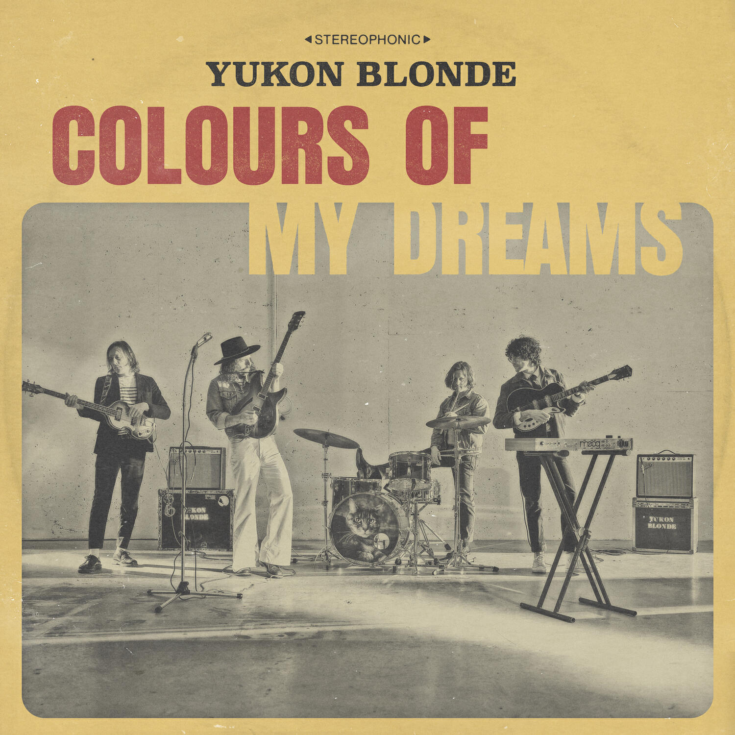 Релиз Colours of My Dreams