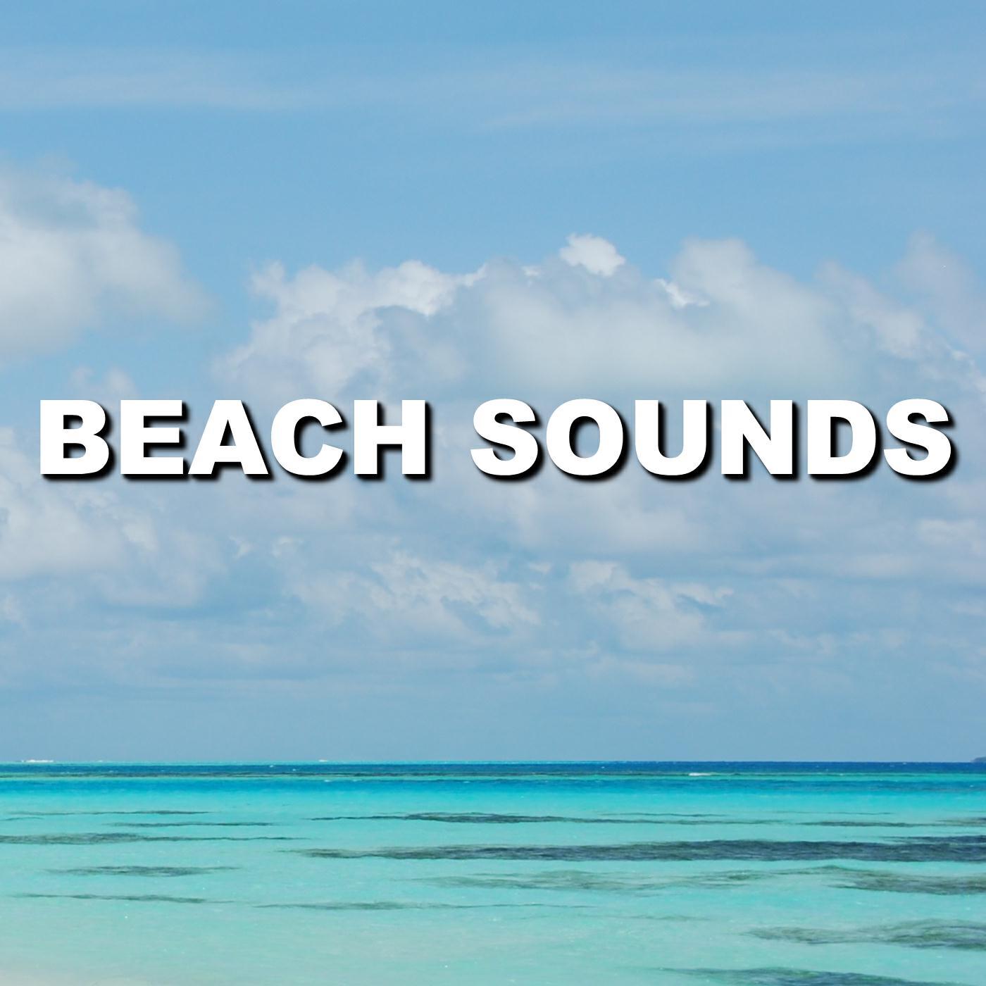Релиз Beach Sounds
