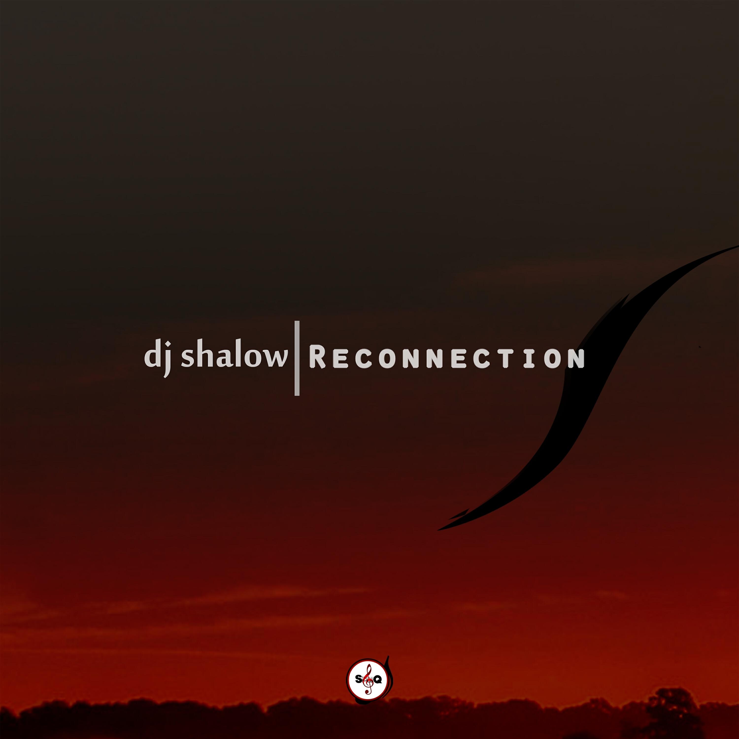Релиз Reconnection