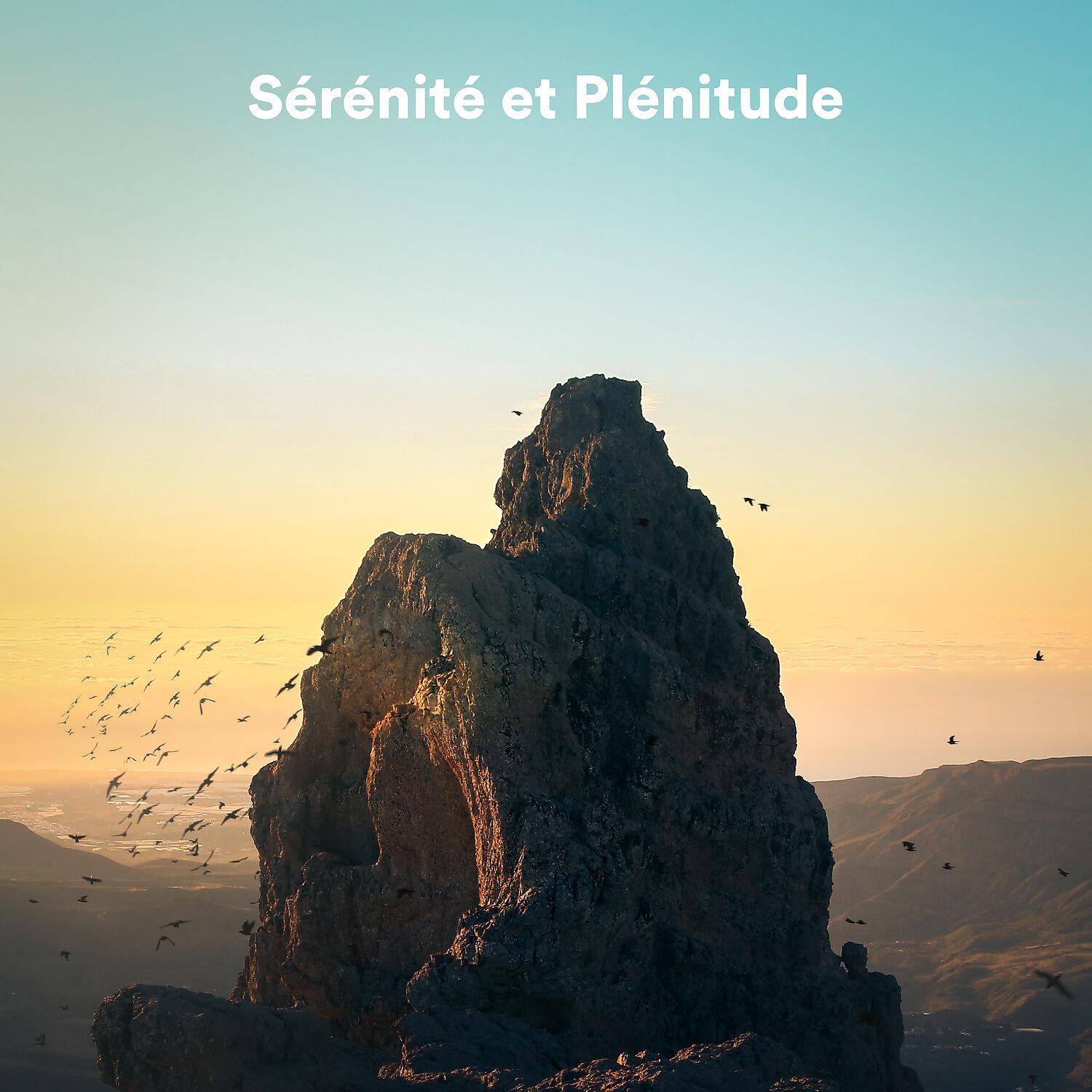 Релиз Sérénité et plénitude