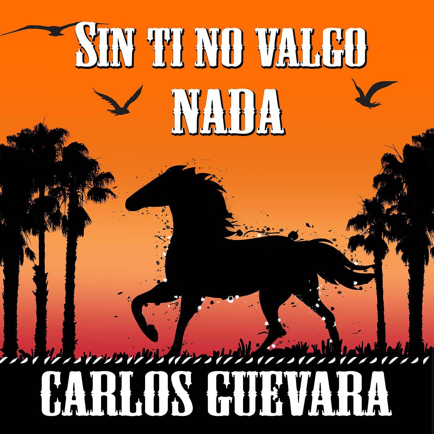 Релиз Sin Ti No Valgo Nada