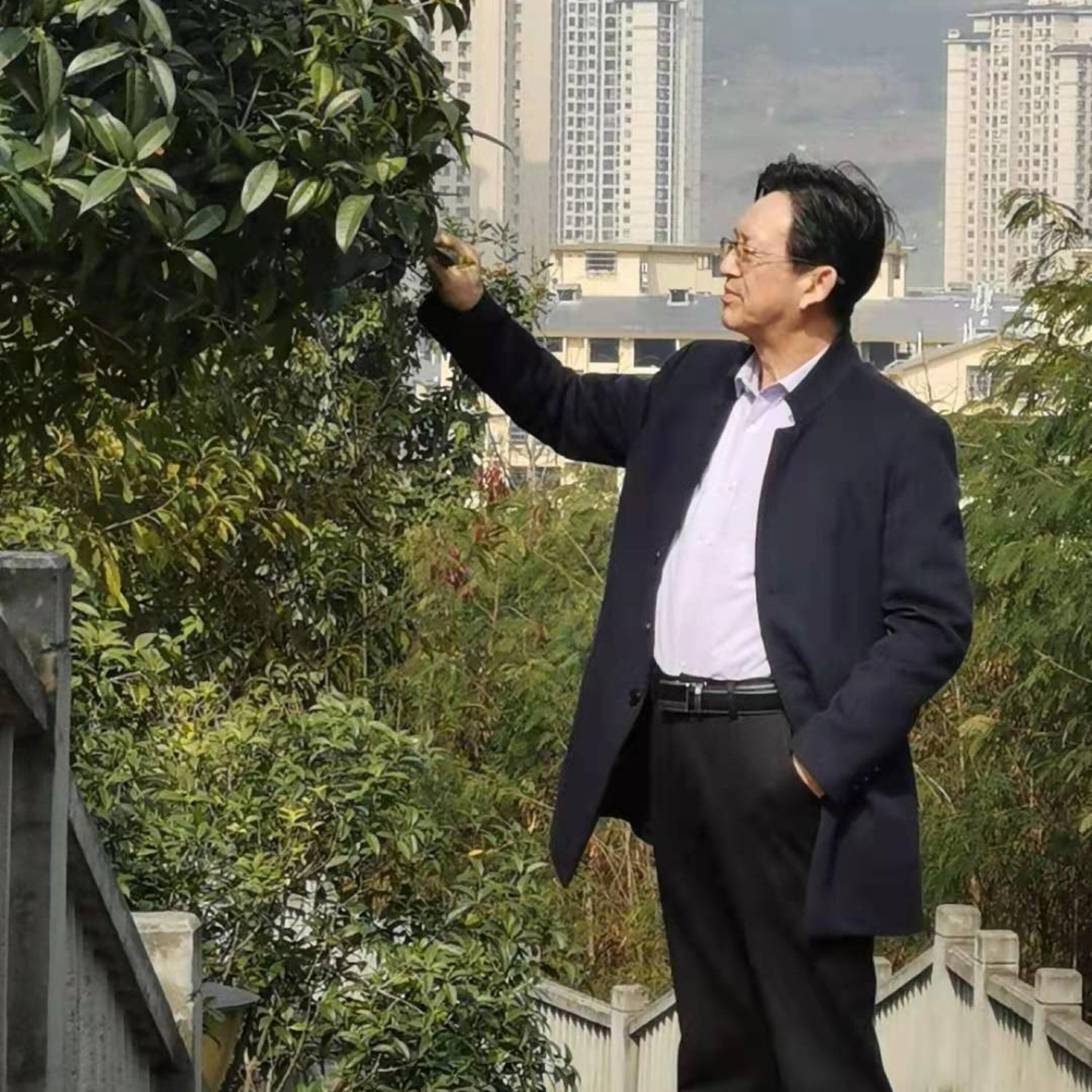 Трек 雄起、雄起