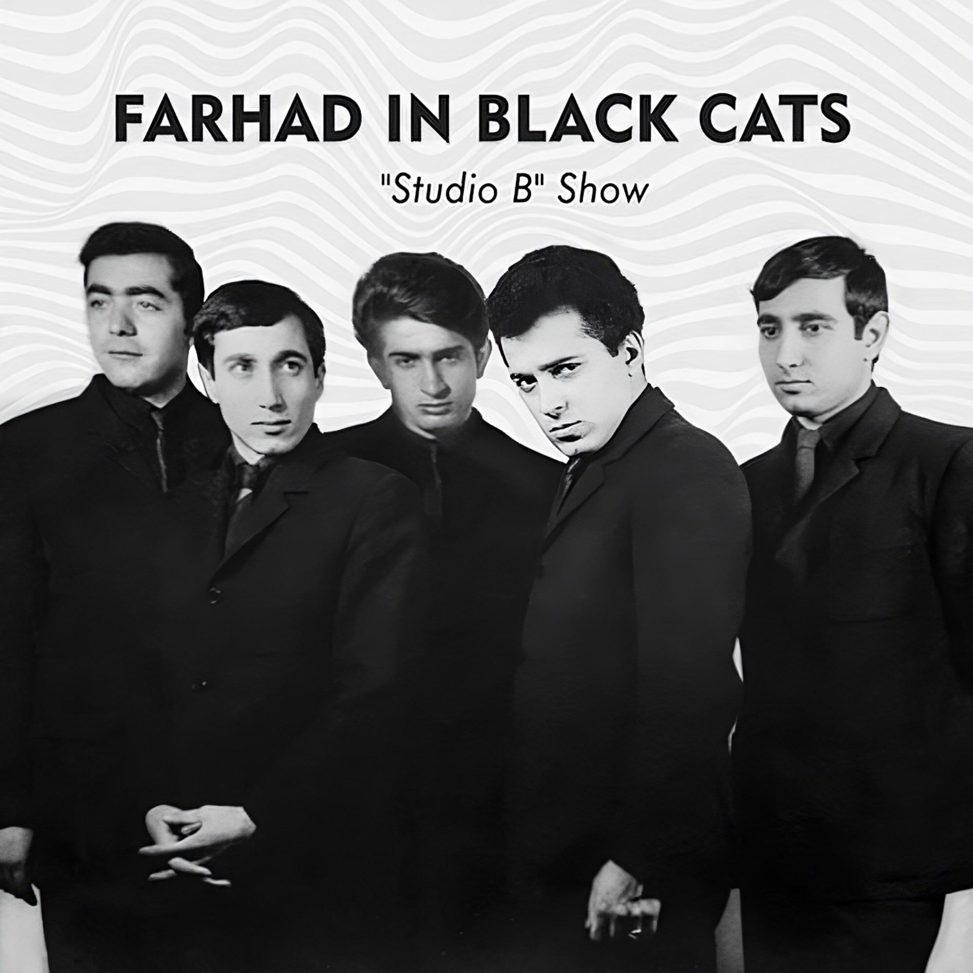 Релиз Farhad in Black Cats: Studio B Show