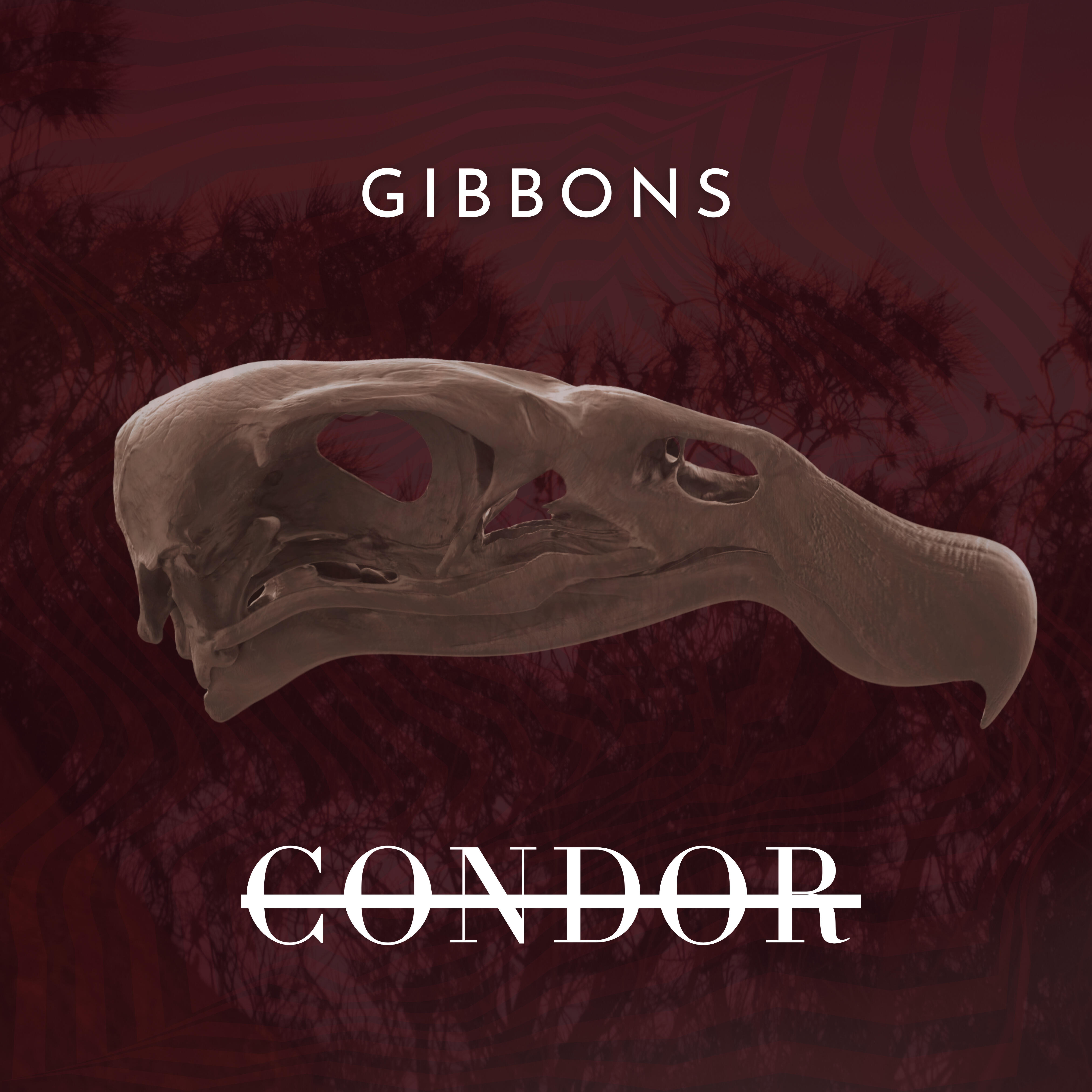 Релиз Cóndor