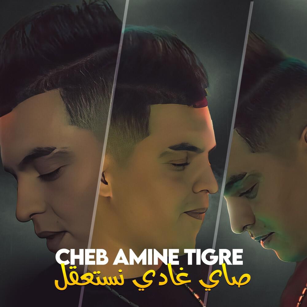 Релиз صاي غادي نستعقل