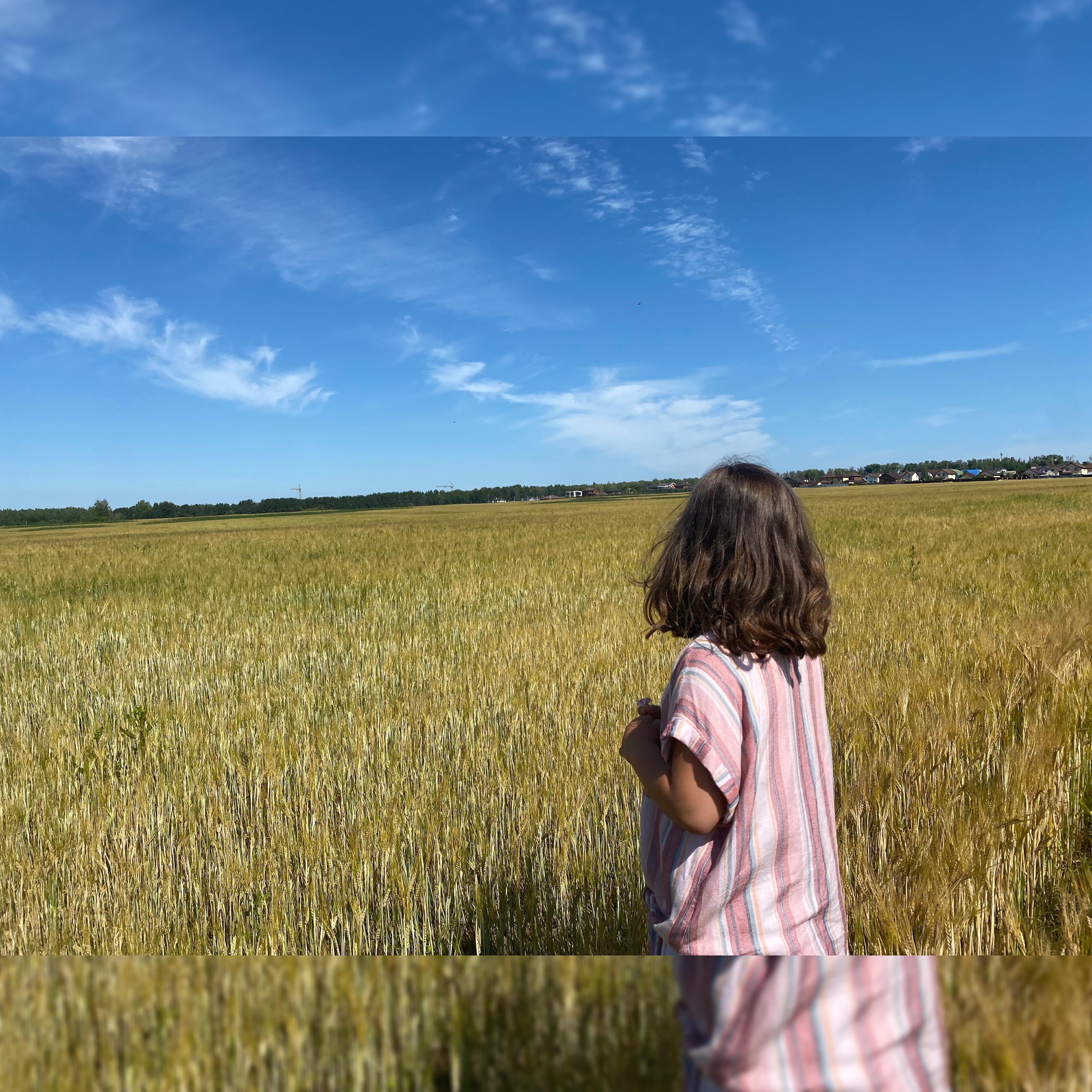 Релиз Ноябрь