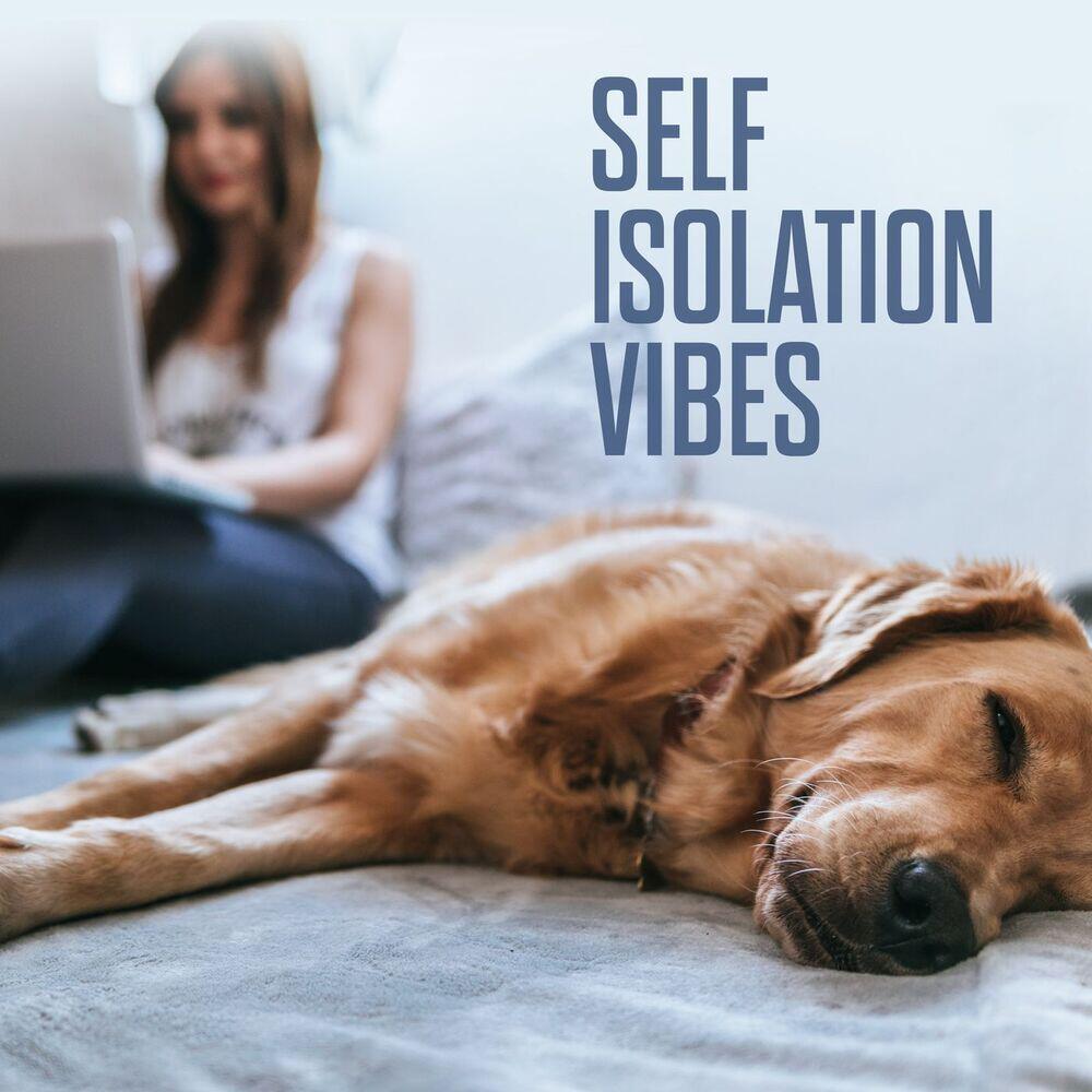 Релиз Self Isolation Vibes