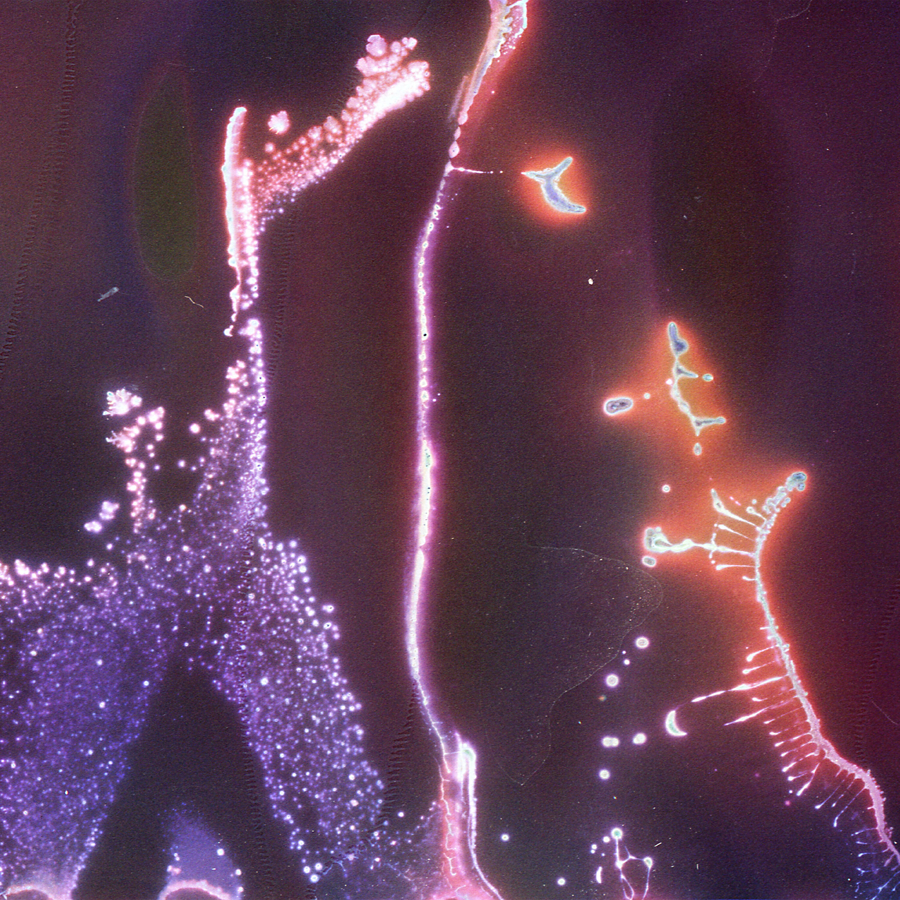 Релиз Strings Forever Change