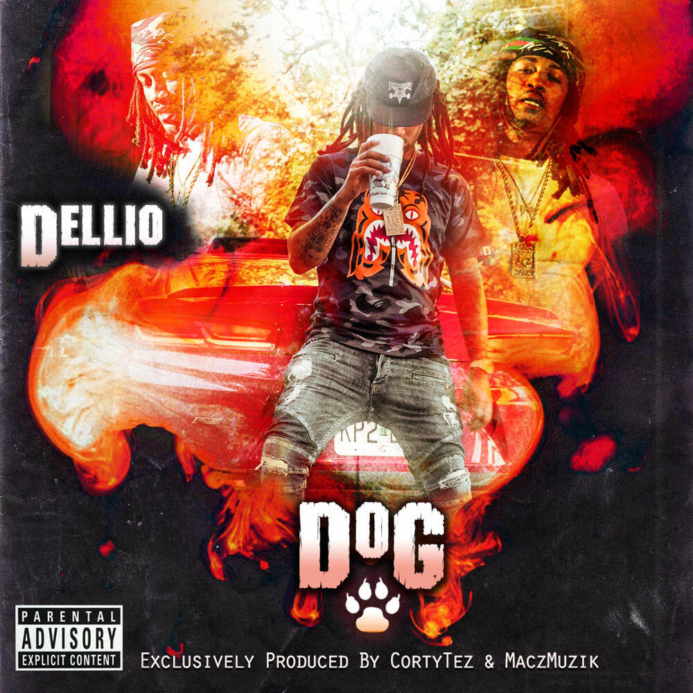 Релиз Dog