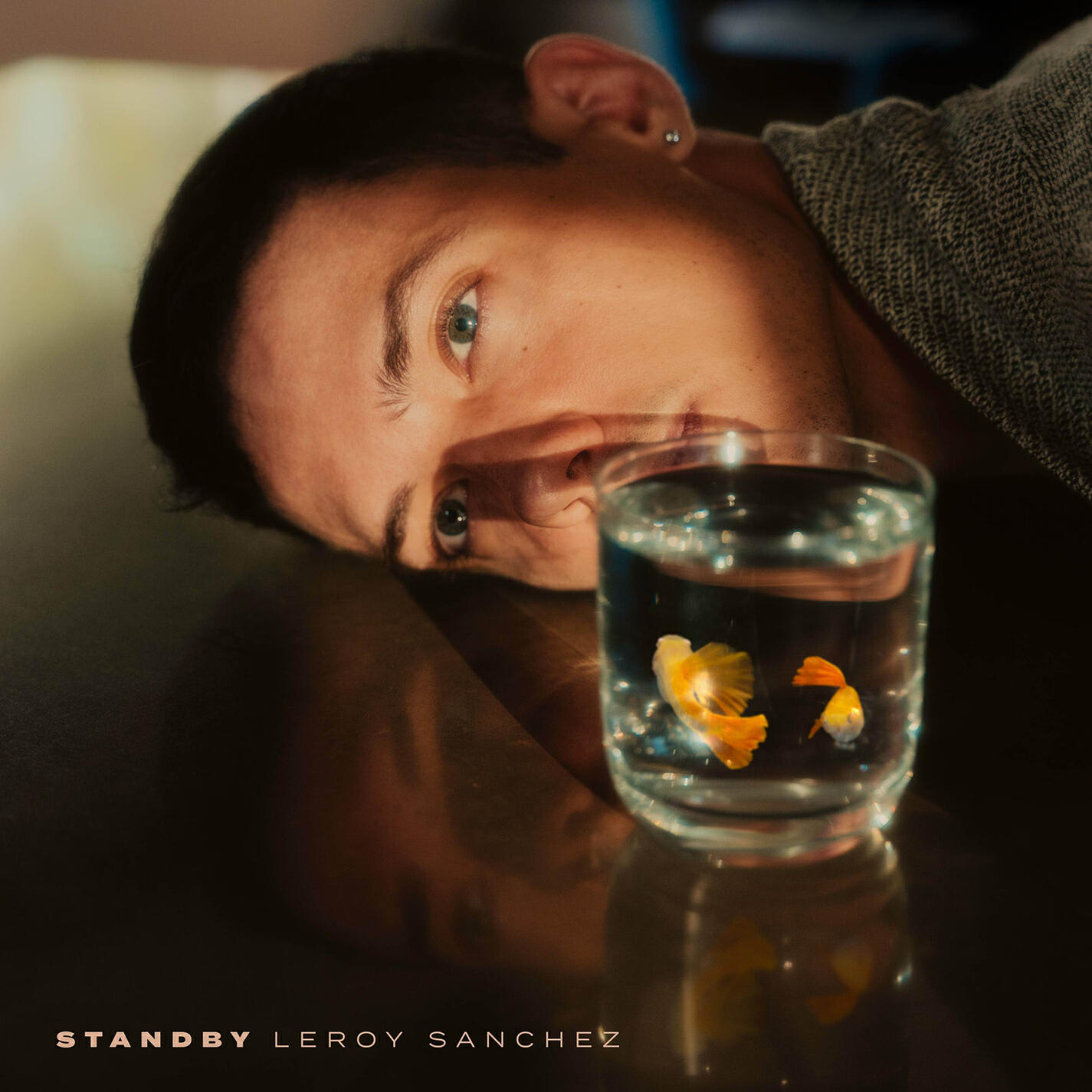 Релиз STANDBY