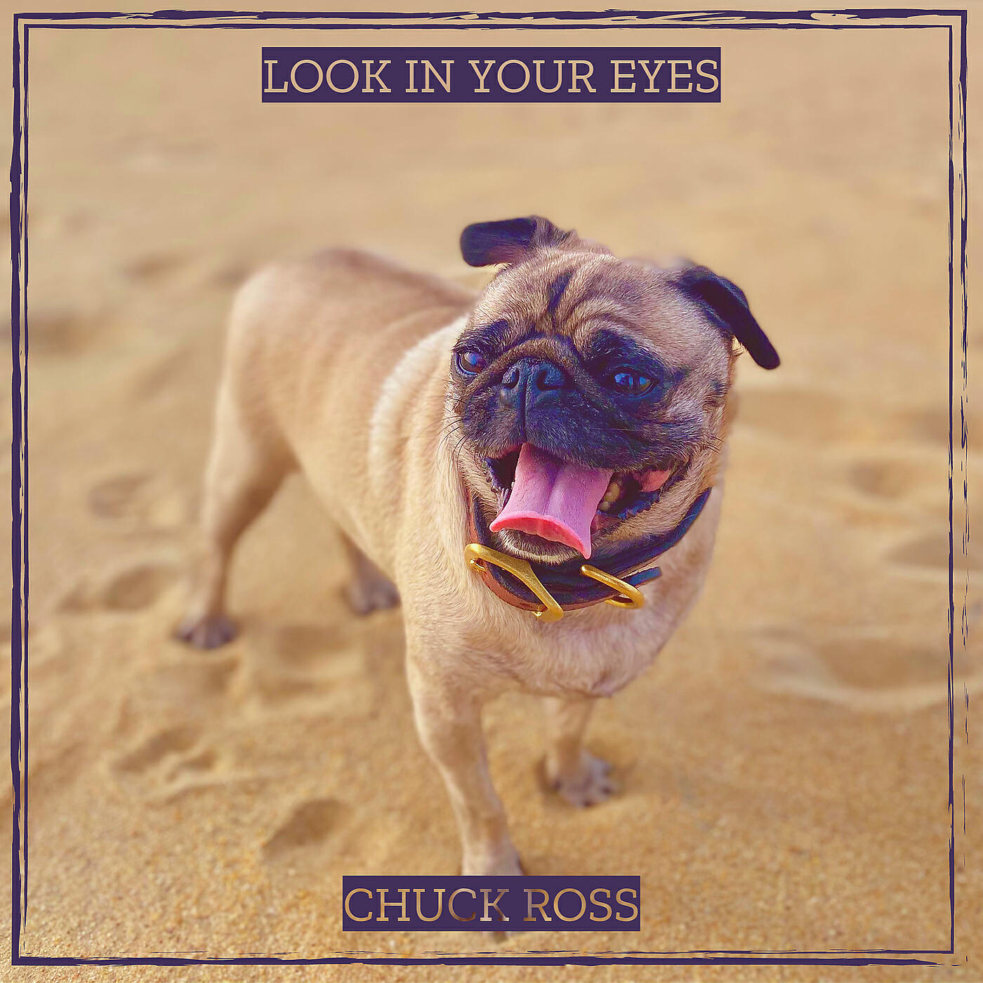 Релиз Look in Your Eyes