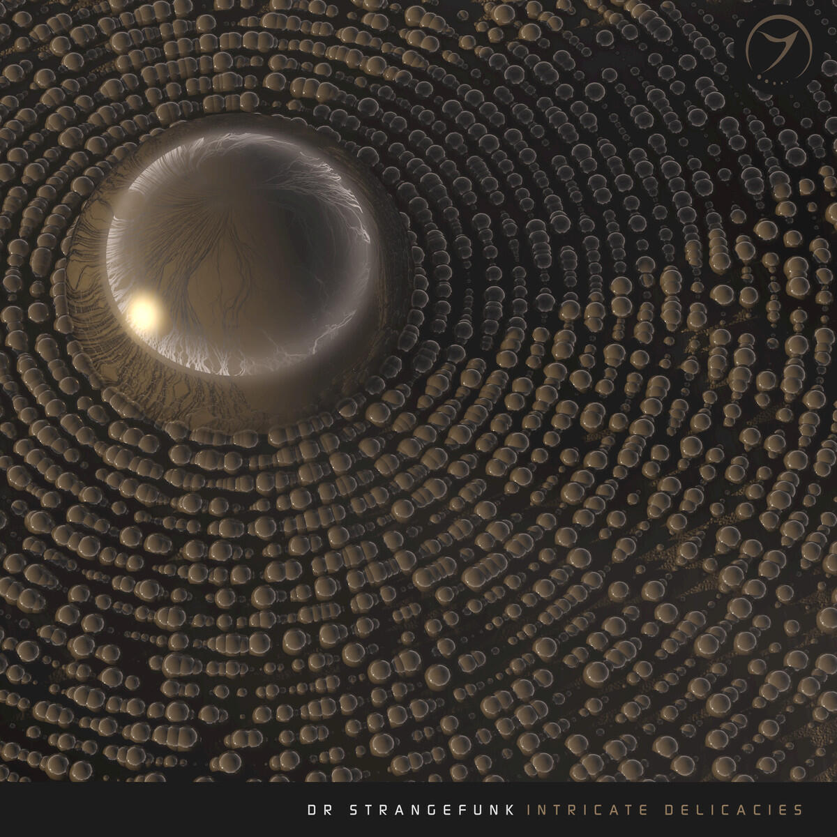 Релиз Intricate Delicacies
