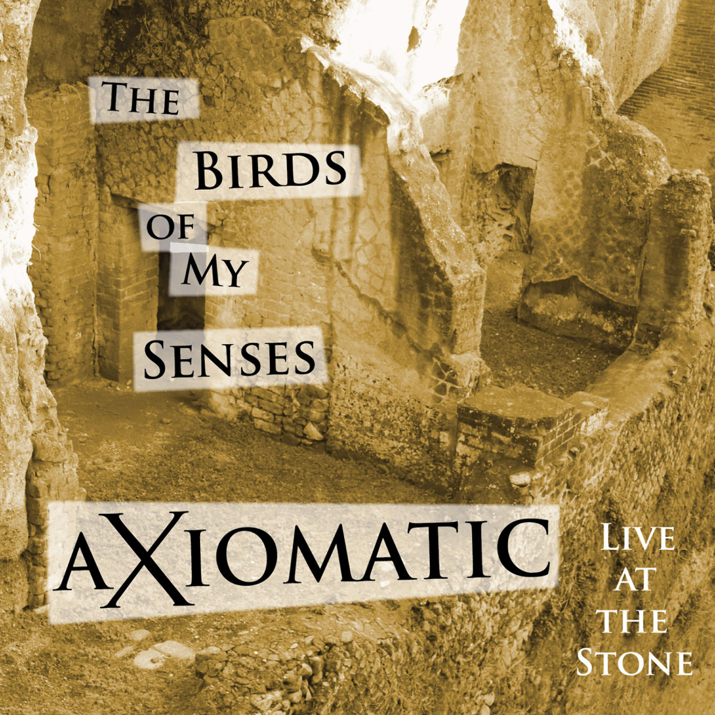 Релиз Axiomatic Live at the Stone - the Birds of My Senses
