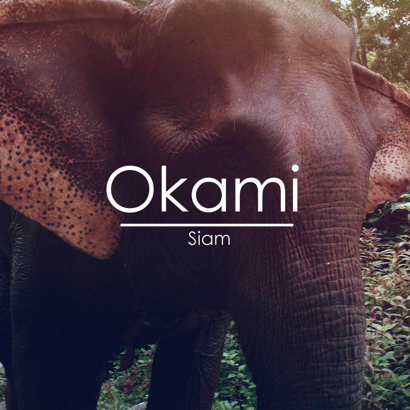 Релиз Siam