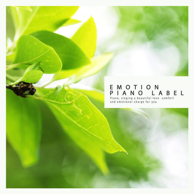 Трек Rainbow Garden