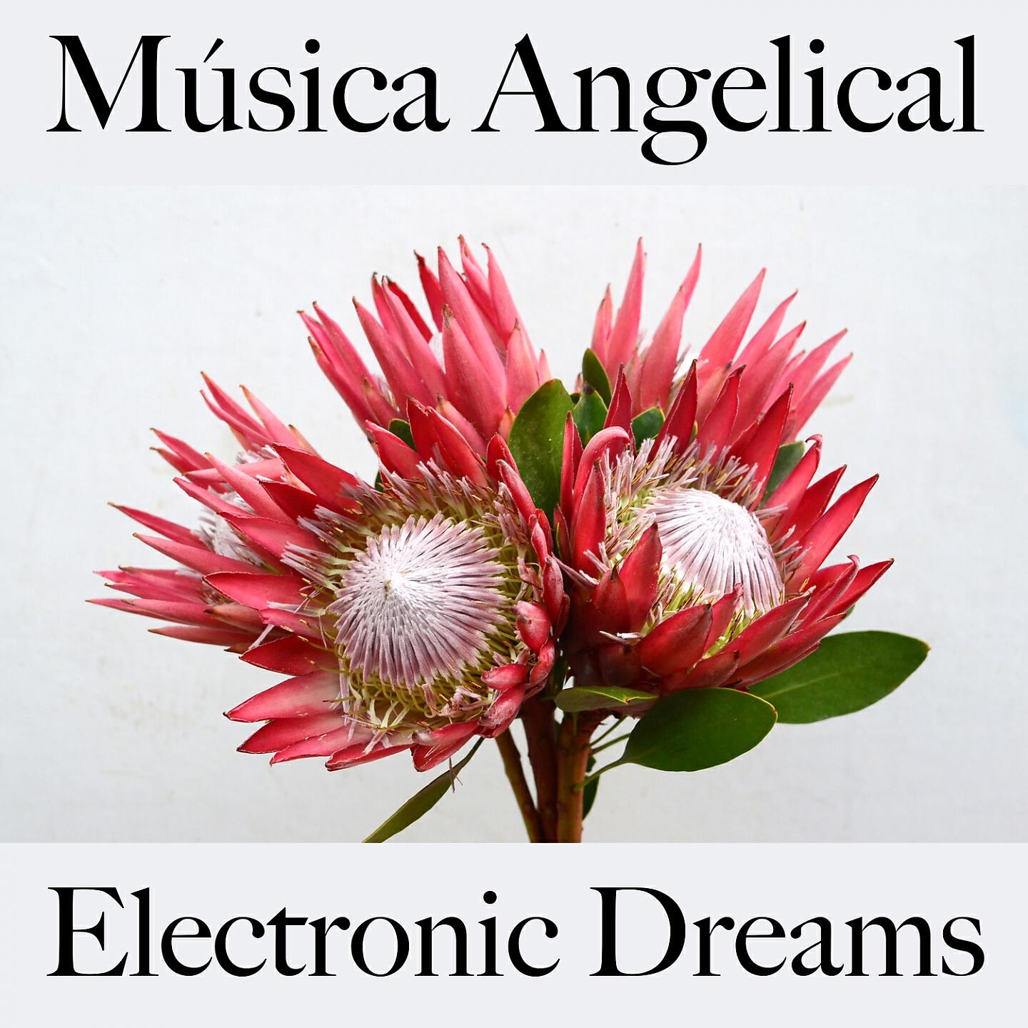 Релиз Música Angelical: Electronic Dreams - A Melhor Música Para Relaxar