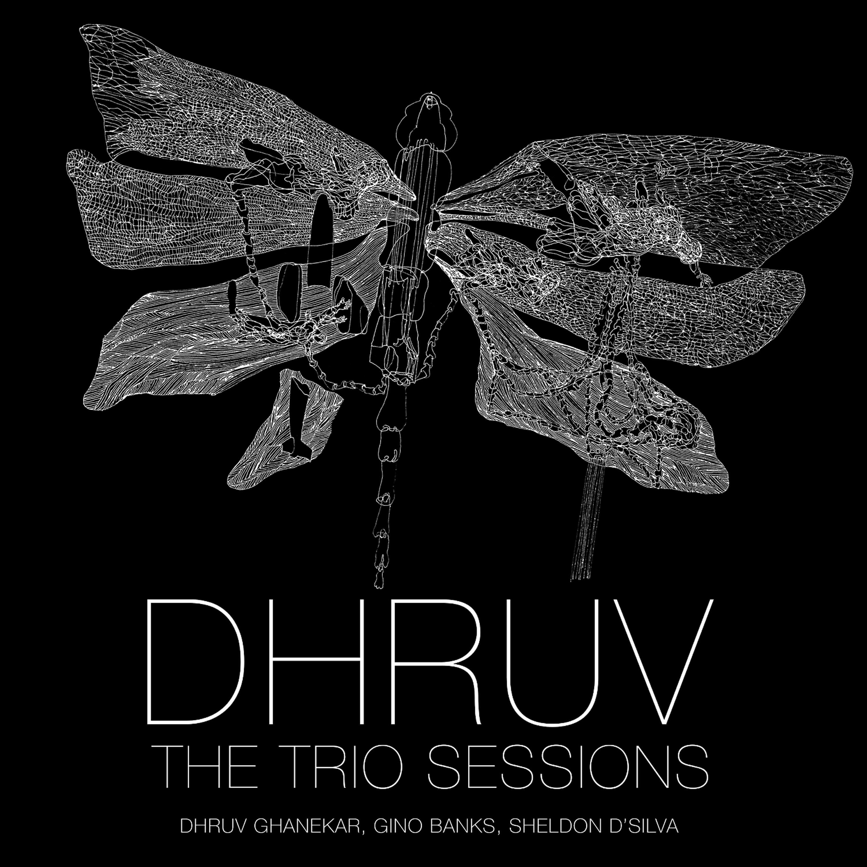 Релиз The Trio Sessions