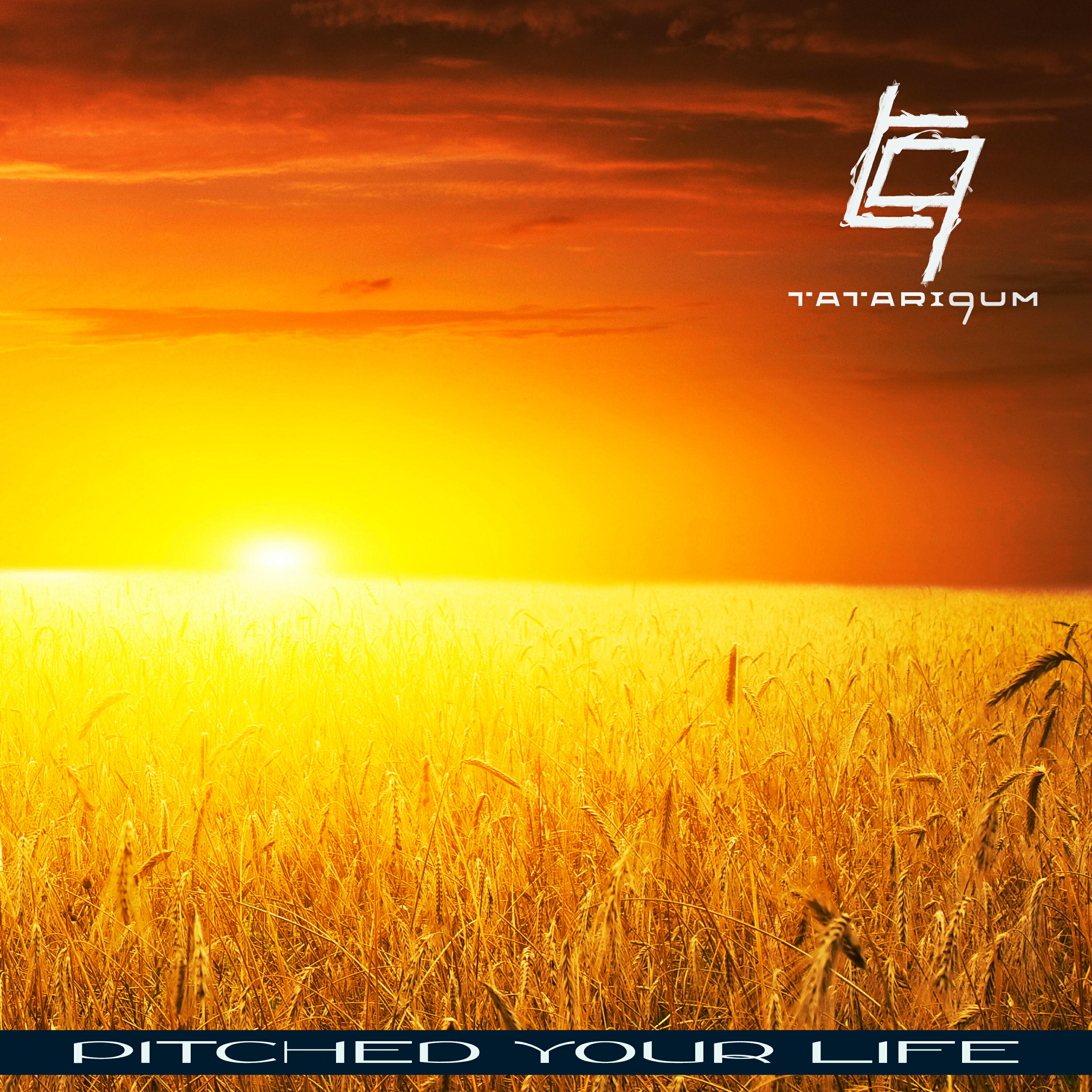 Релиз Pitched Your Life