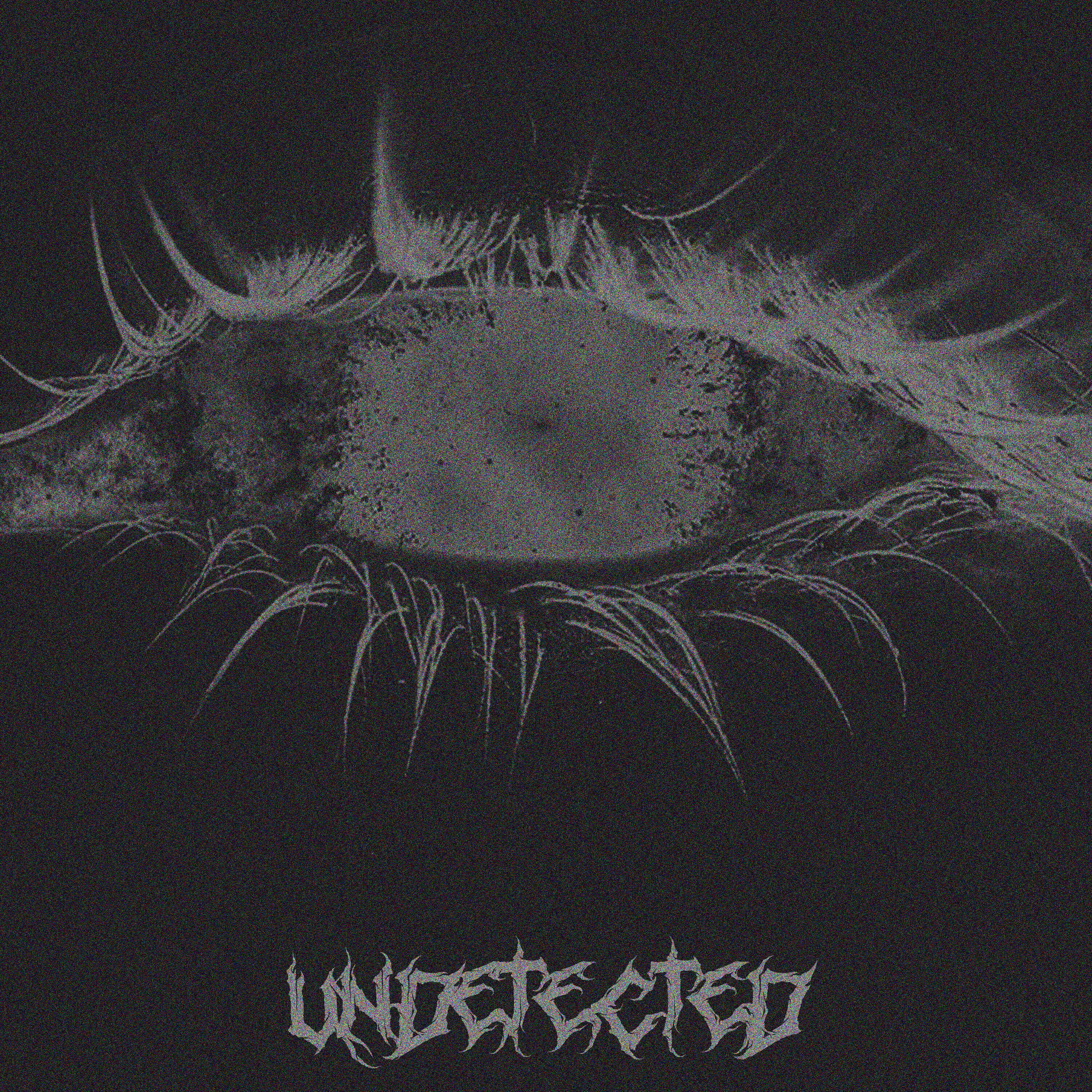 Релиз Undetected