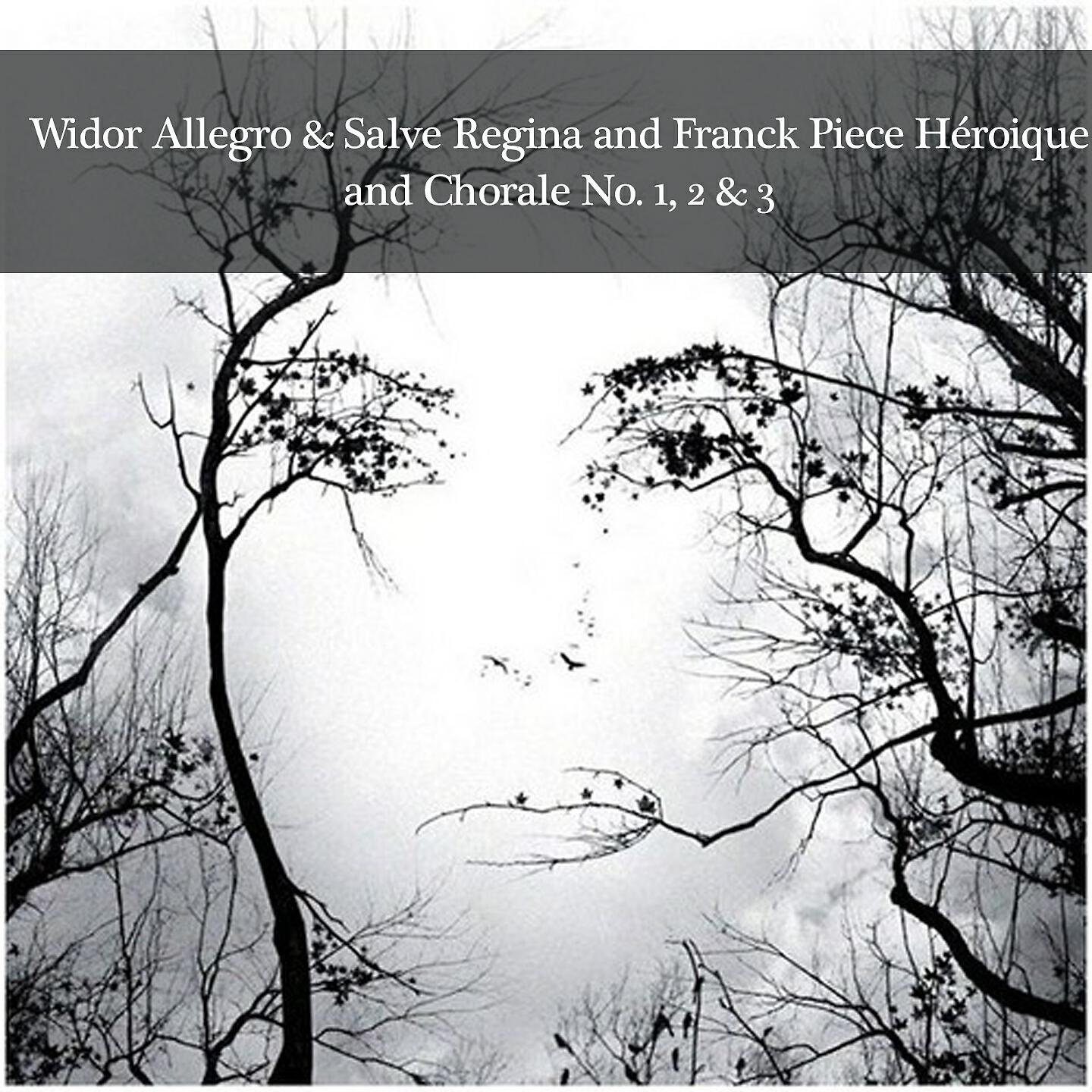 Релиз Widor Allegro & Salve Regina and Franck Piece Héroique and Chorale No. 1, 2 & 3