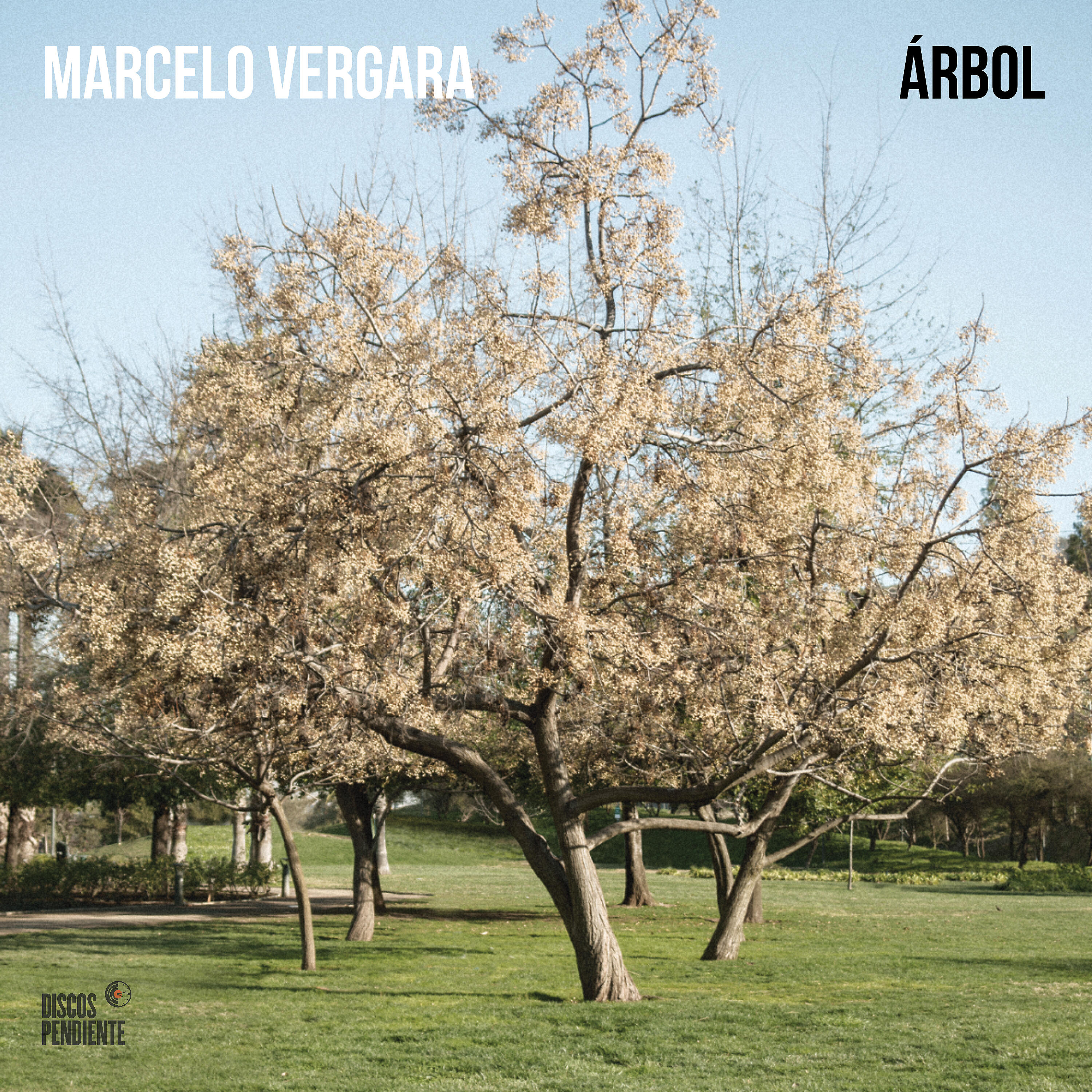 Релиз Árbol