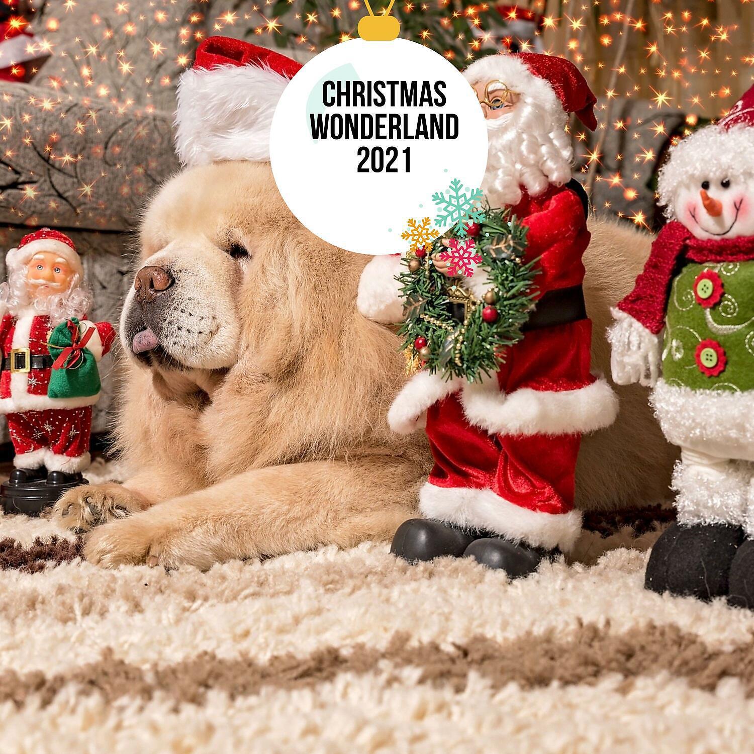 Релиз Christmas Wonderland 2021