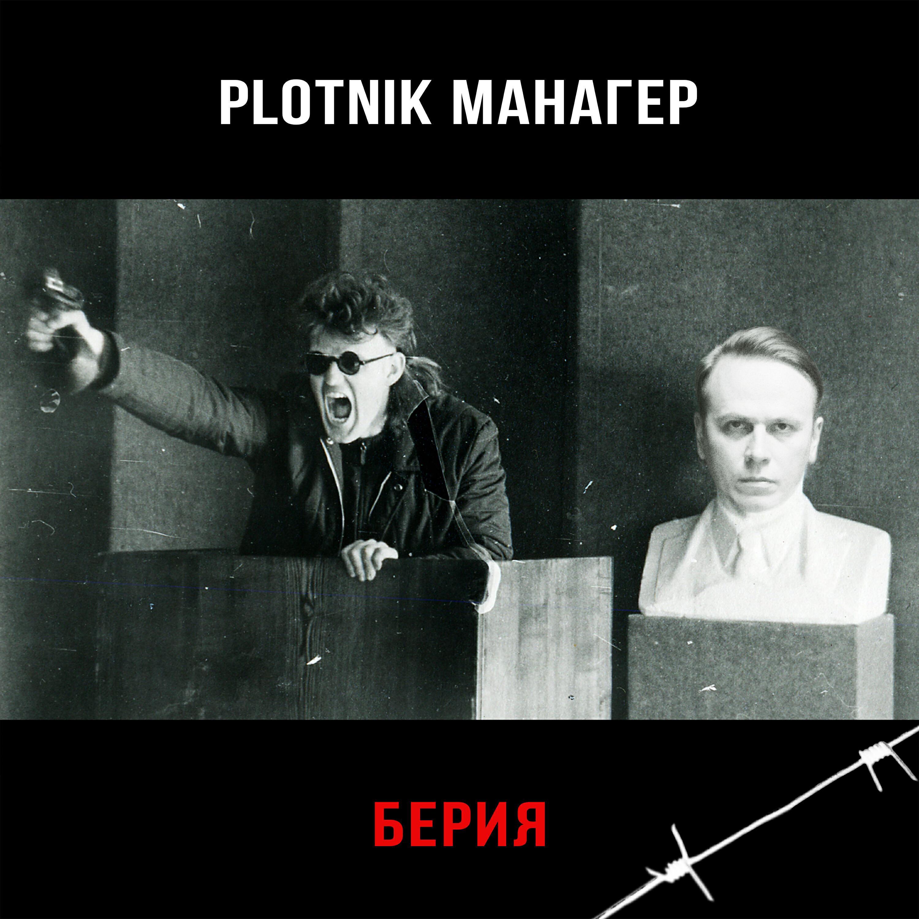 Plotnik Манагер