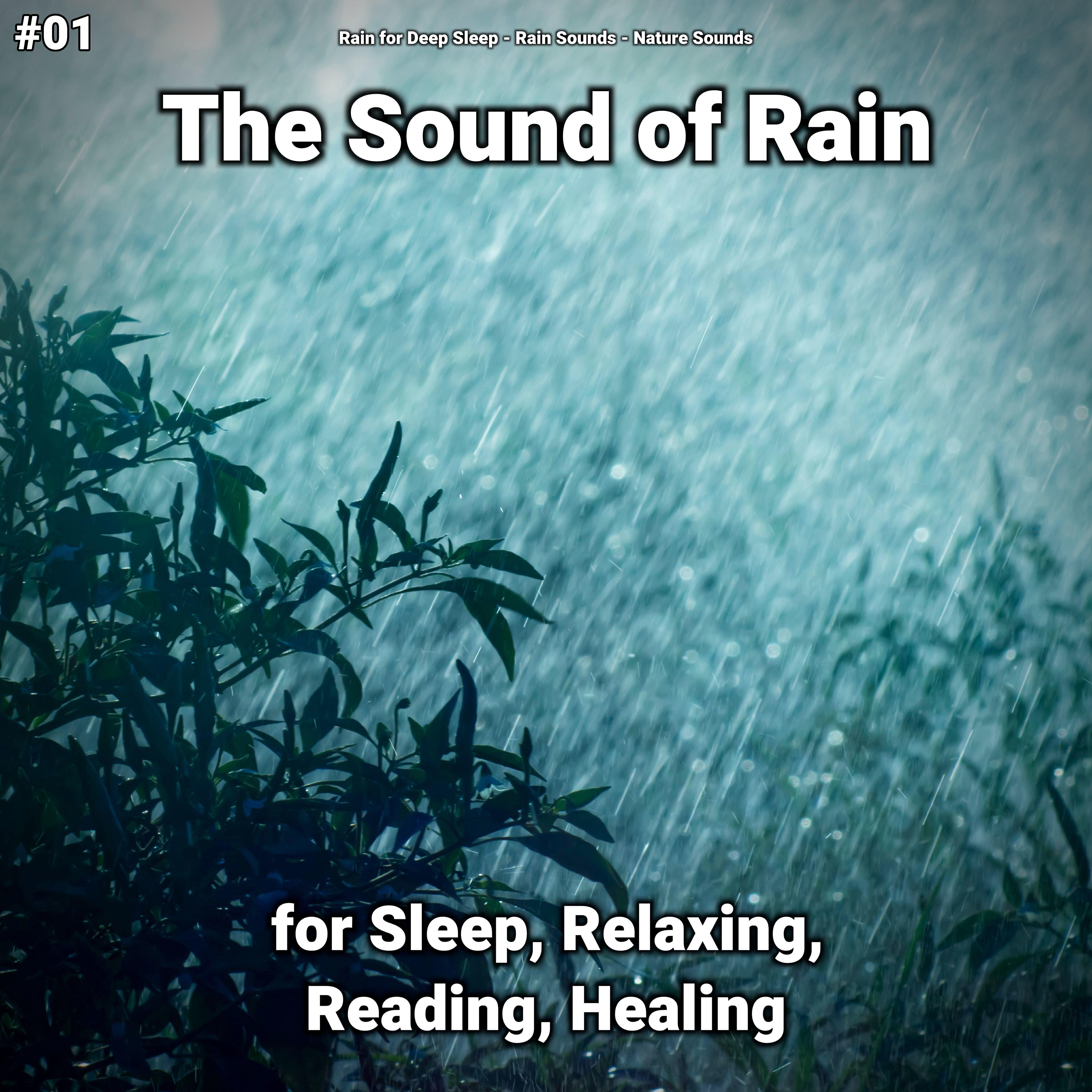 Релиз #01 The Sound of Rain for Sleep, Relaxing, Reading, Healing