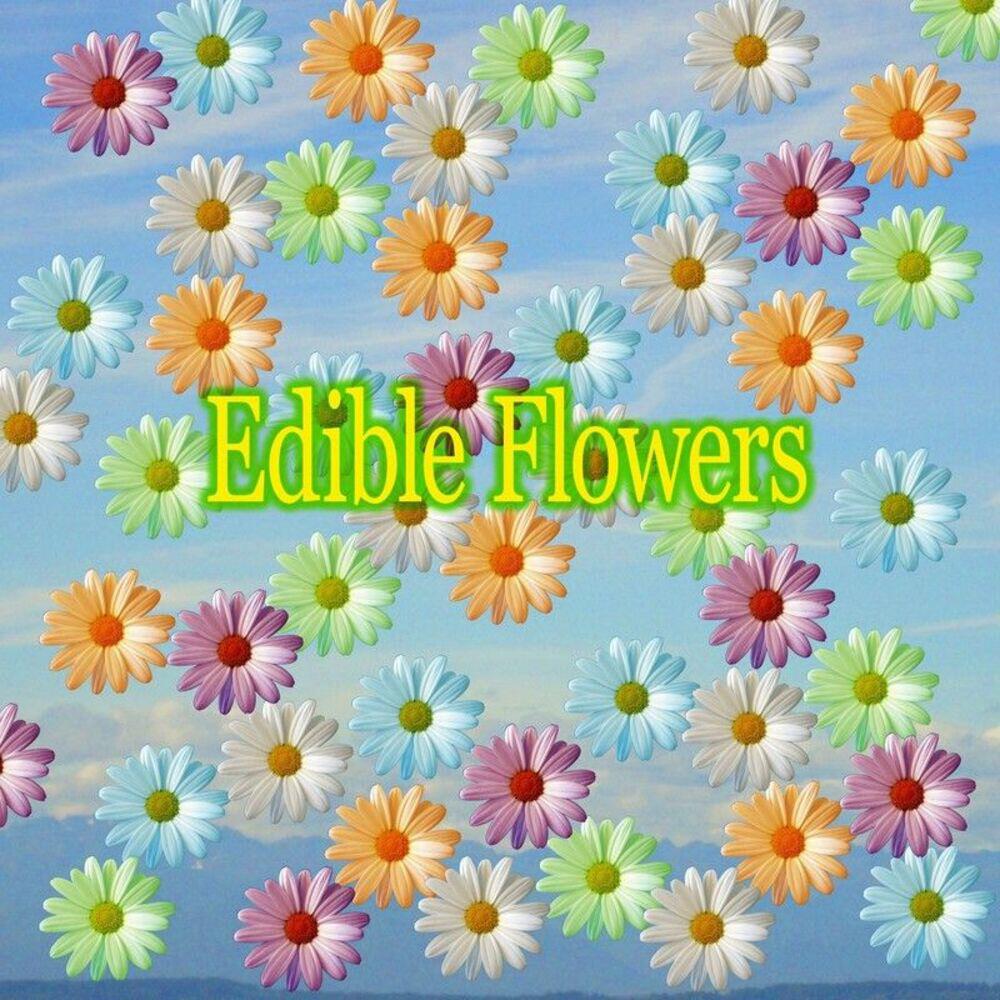 Релиз Edible Flowers