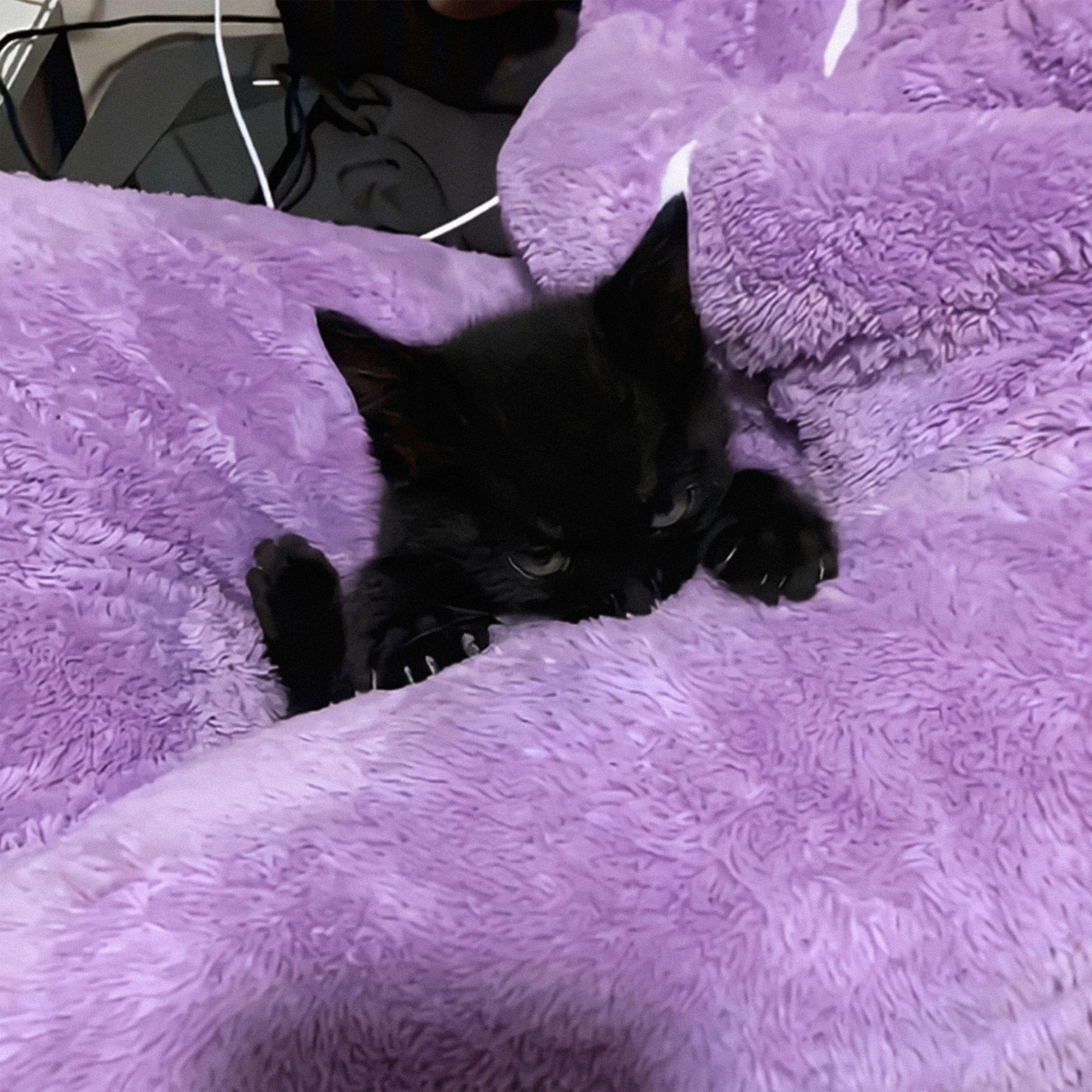 Релиз Hellcat