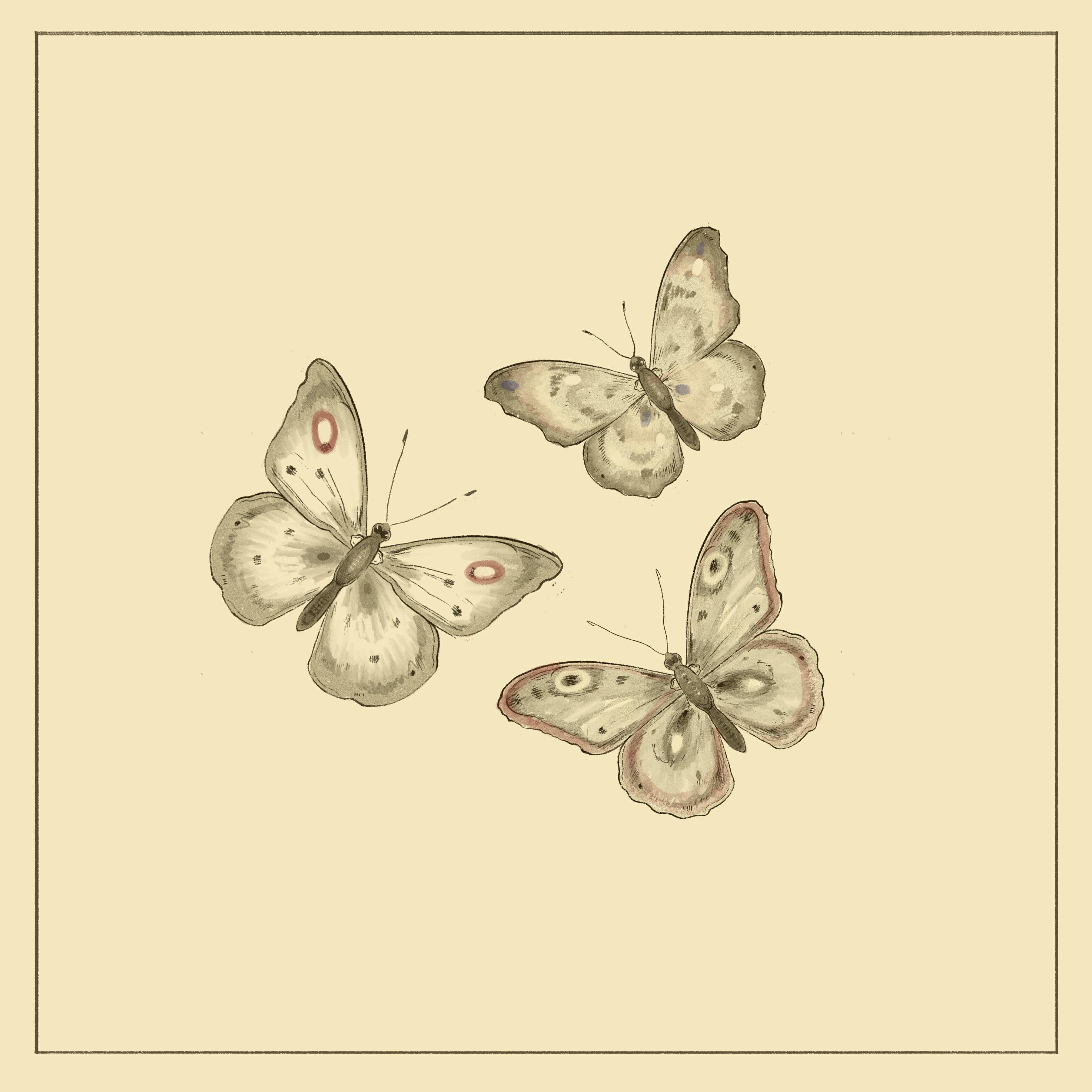 Релиз butterfly waltz