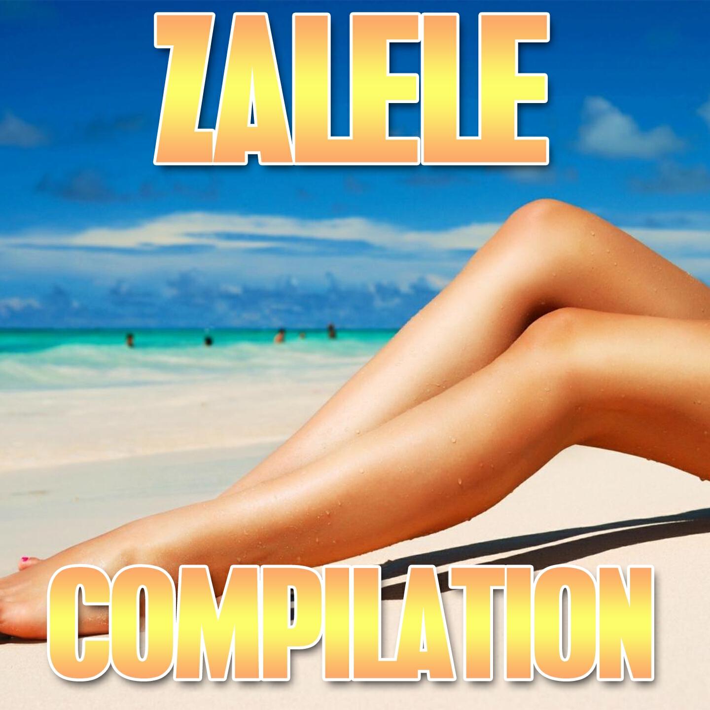 Релиз Zalele 2013 Compilation