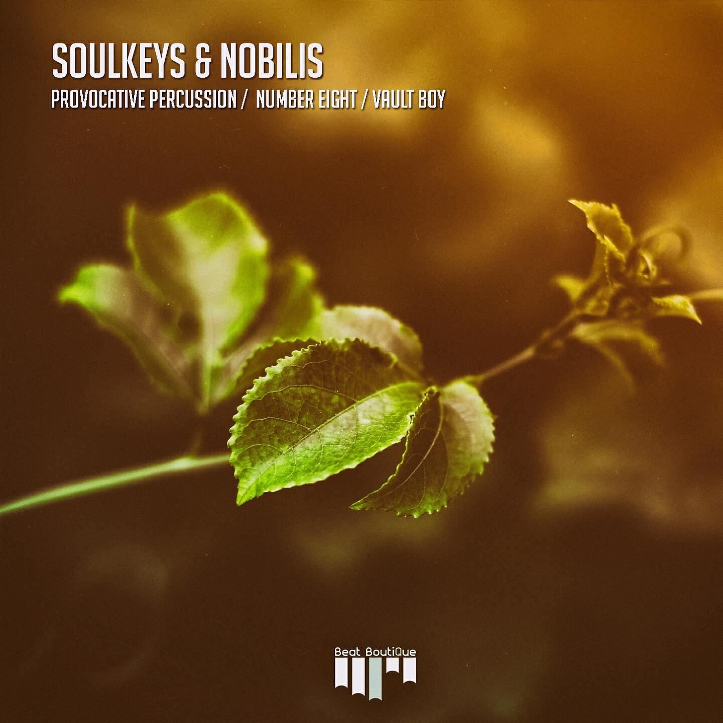 Релиз Provocative Percussion