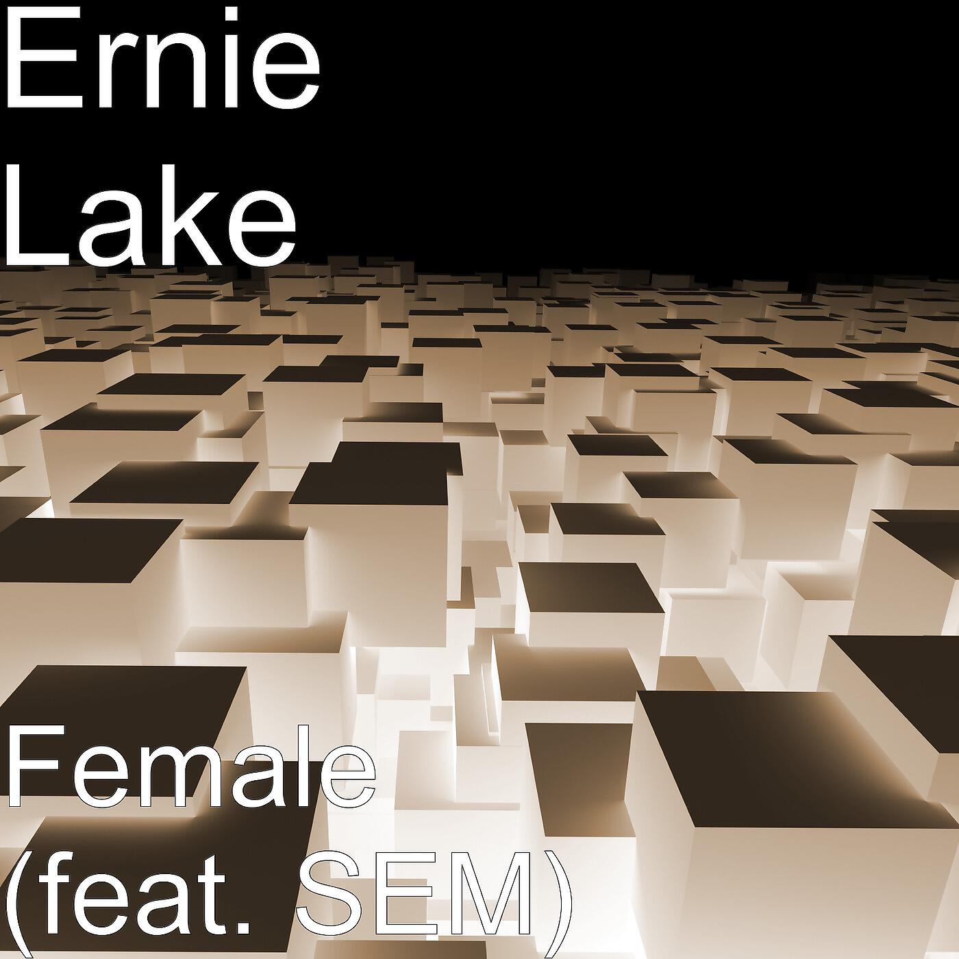 Релиз Female (feat. SEM)