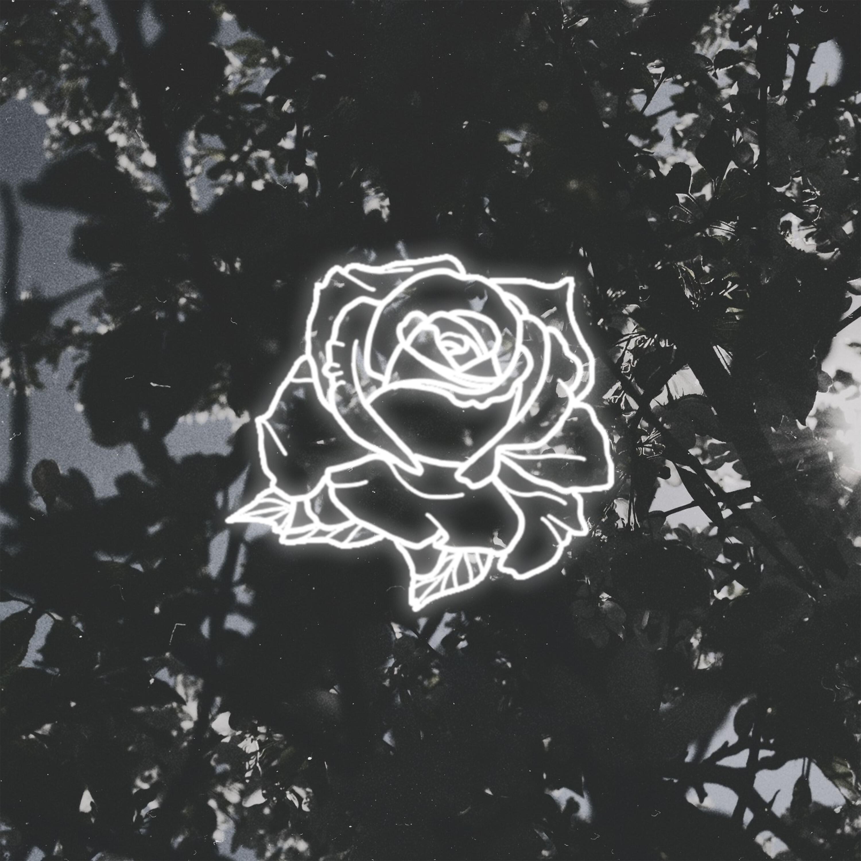 Релиз RXBORN TRINITY