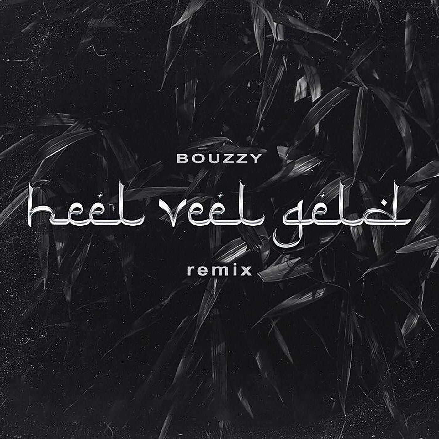 Релиз Heel Veel Geld (Remix)