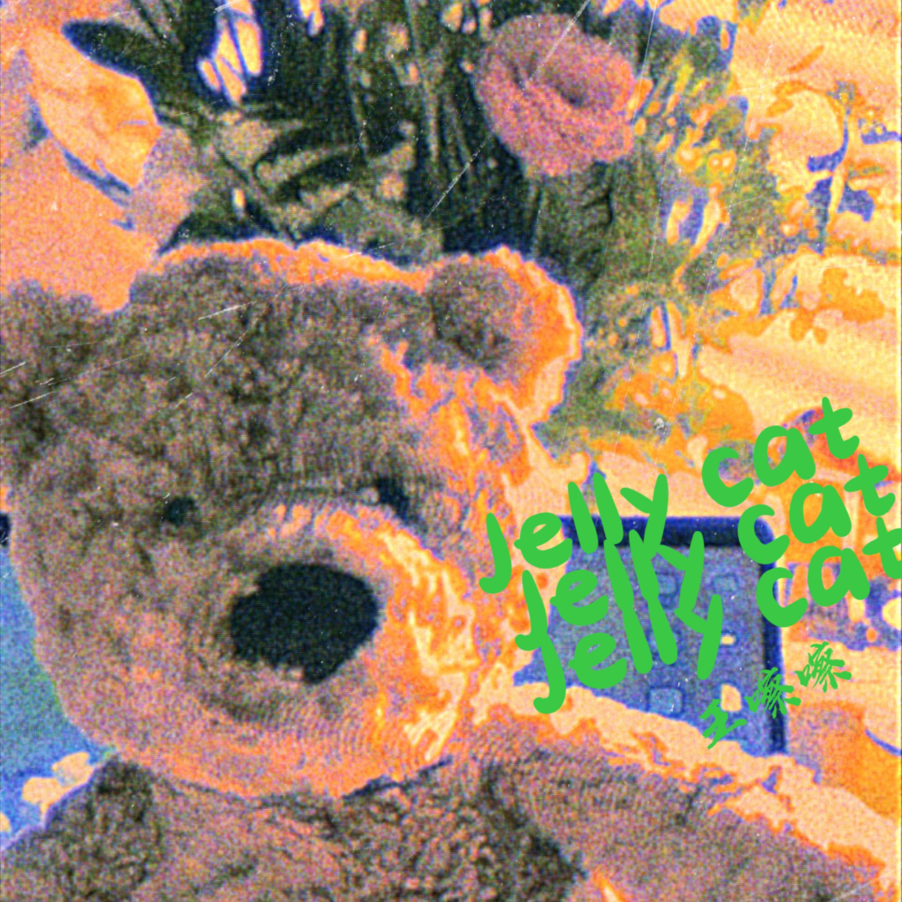 Релиз Jelly Cat