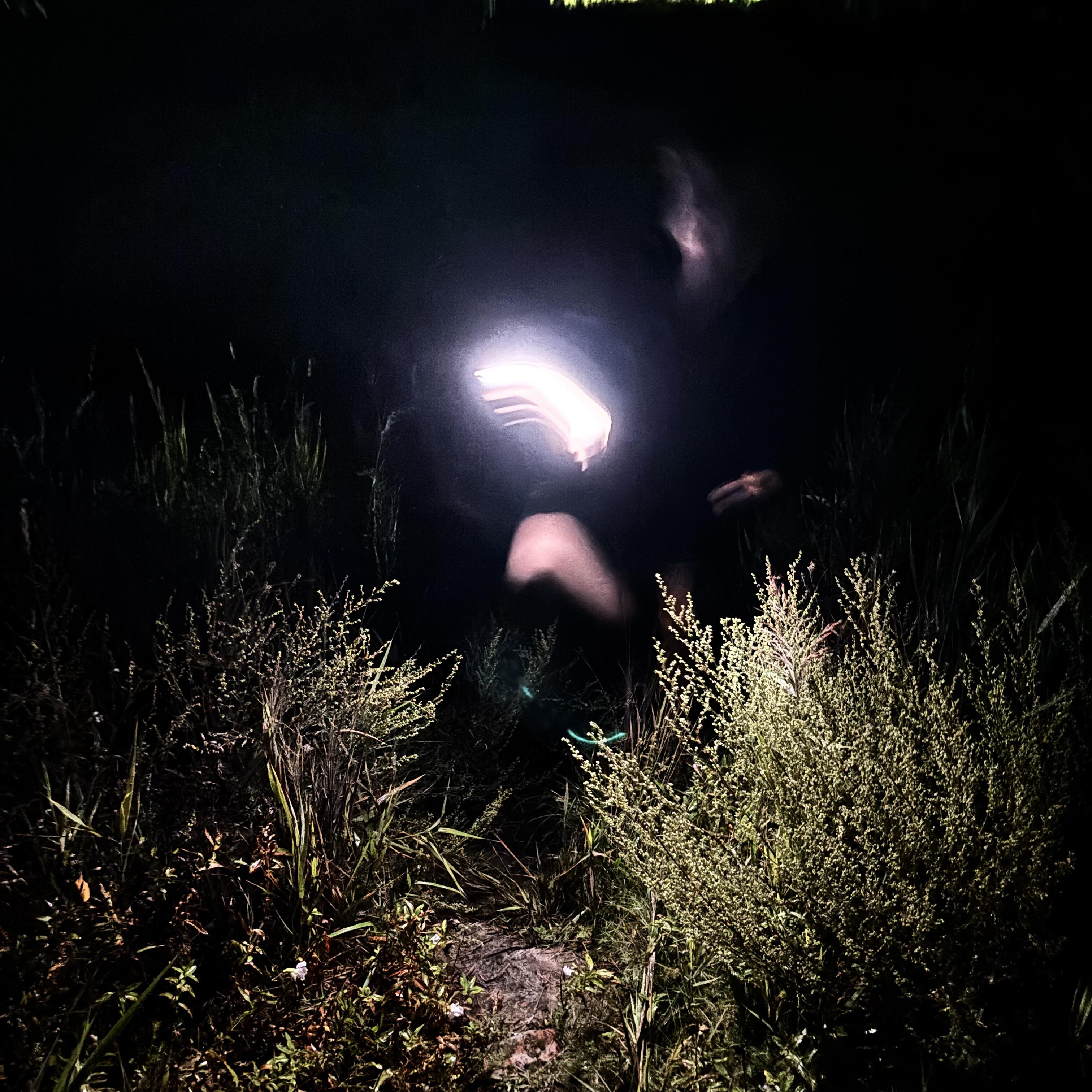 Релиз Relax (Vena)